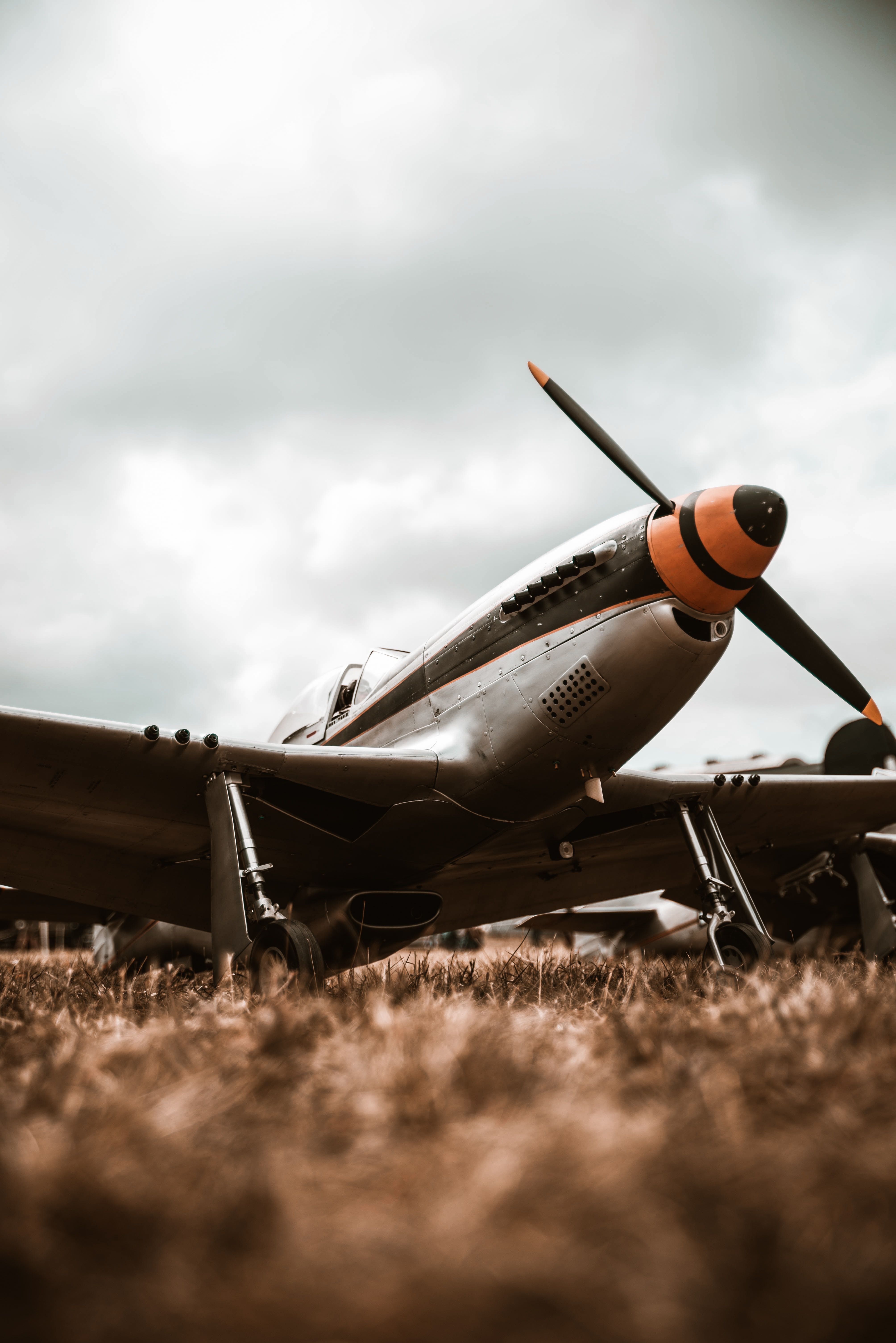 Stallion Flight Experience The Thrills And Adventure Of Vintage Flight With Stallion 51 ...