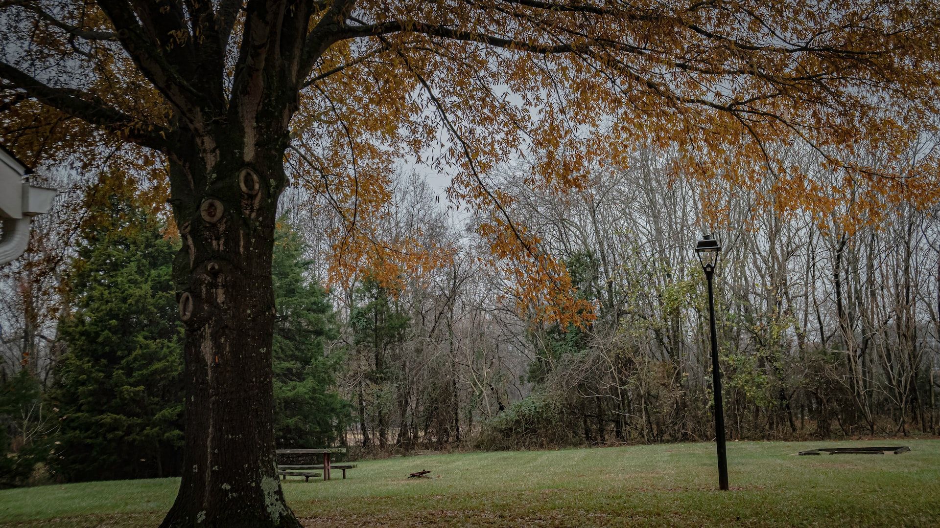 History Comes Alive The Ultimate Guide To Greensboro & Things To Do