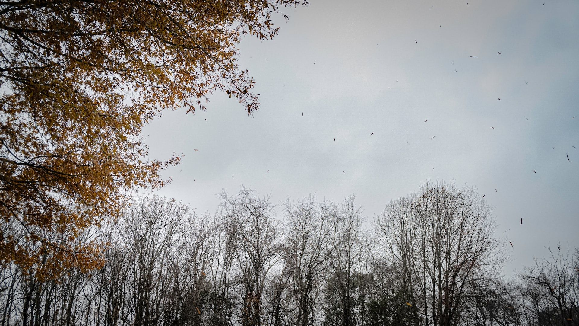 History Comes Alive The Ultimate Guide To Greensboro & Things To Do