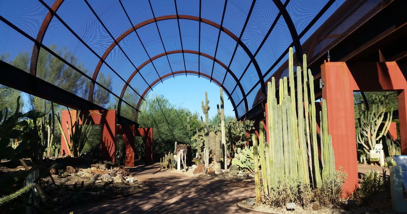 Desert Botanical Garden Phoenix Where The Wonders Of Nature & Human