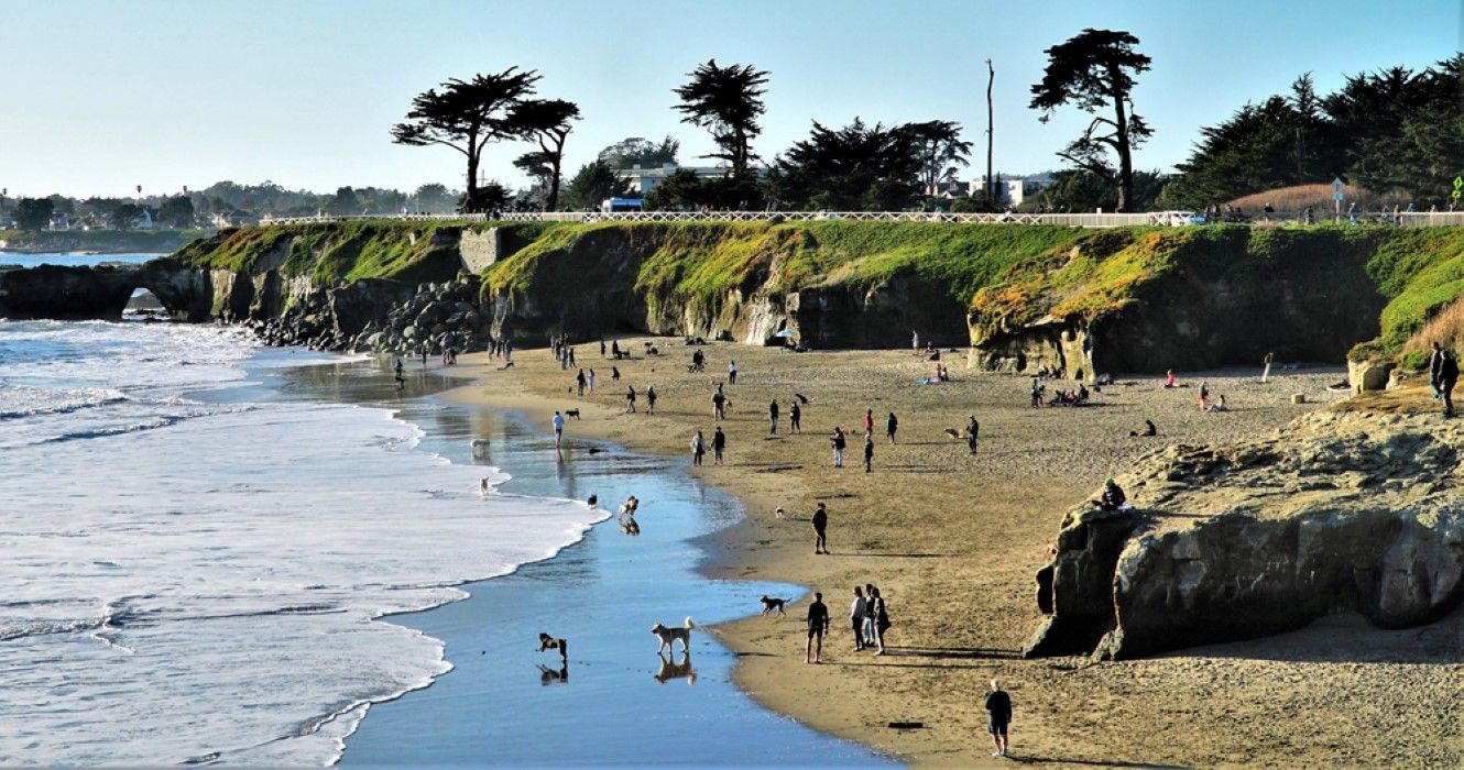 10 Best Warm Winter Cities In California To Escape The Cold   Dogs And Crowds At Light House Field Beach State Park In Santa Cruz California 