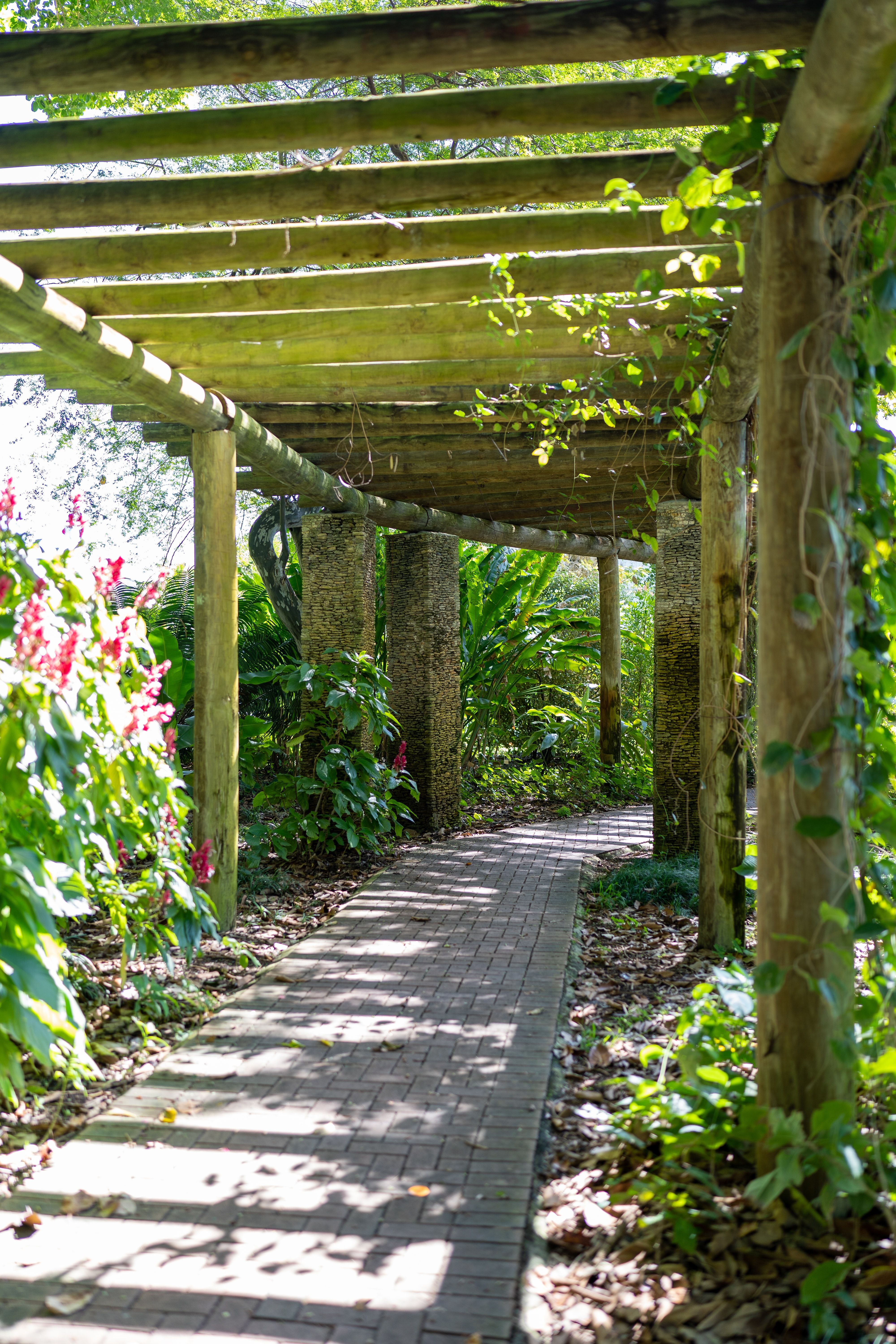Covered walkway in Fairchild Tropical Botanic Garden