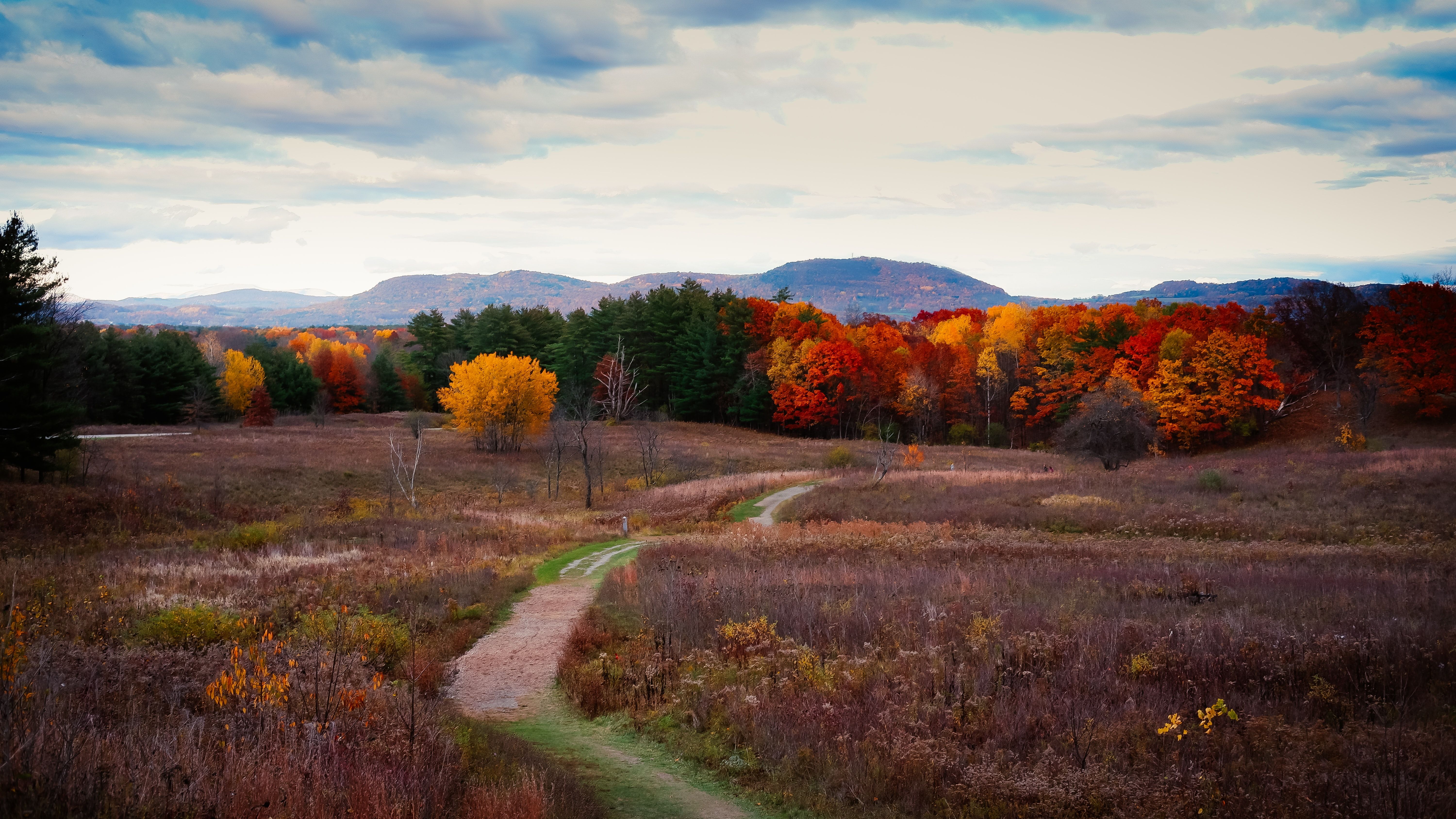 The battlefield of Saratoga in late fall, Saratoga Springs, New York