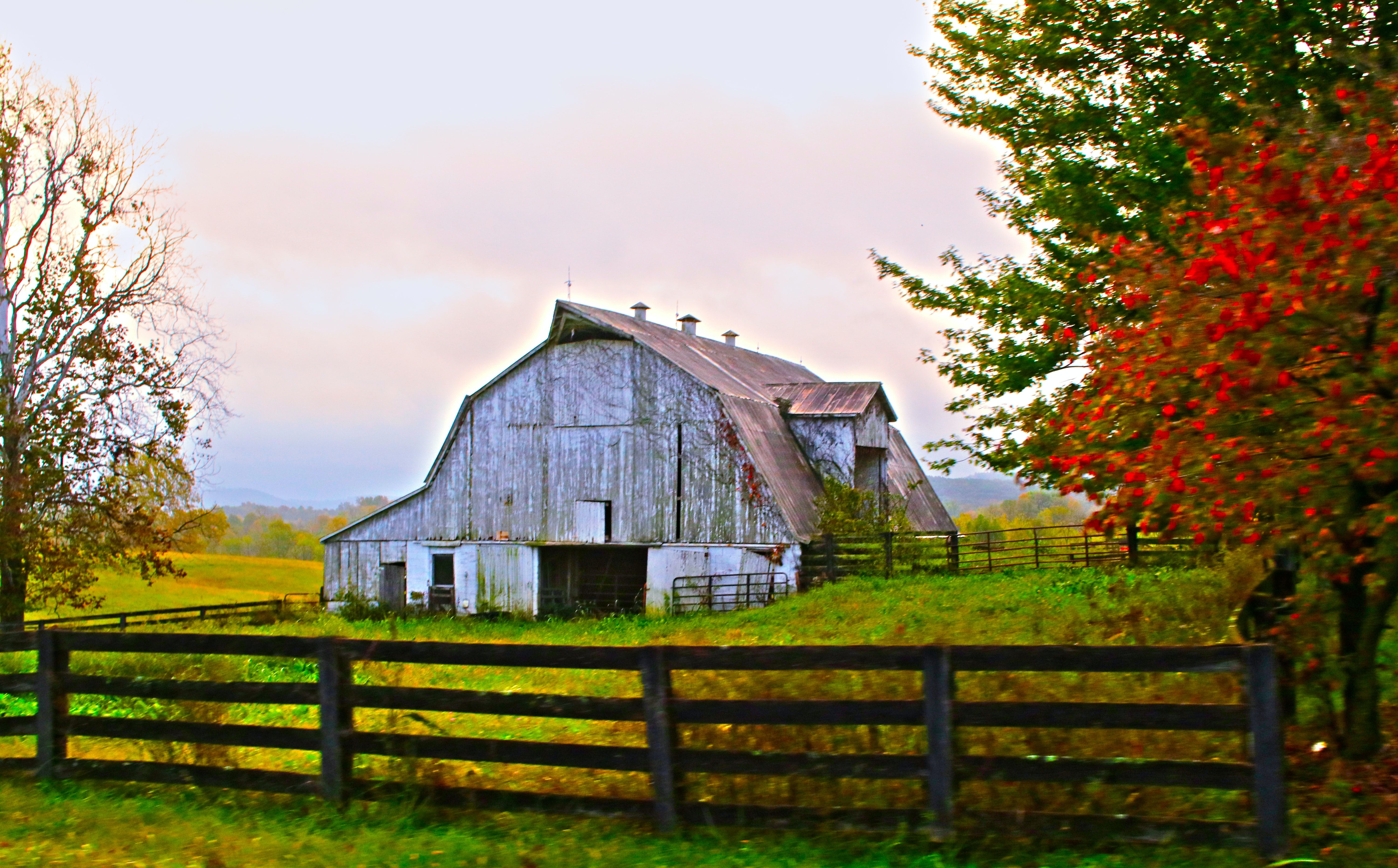 Kentucky Barn With Fence