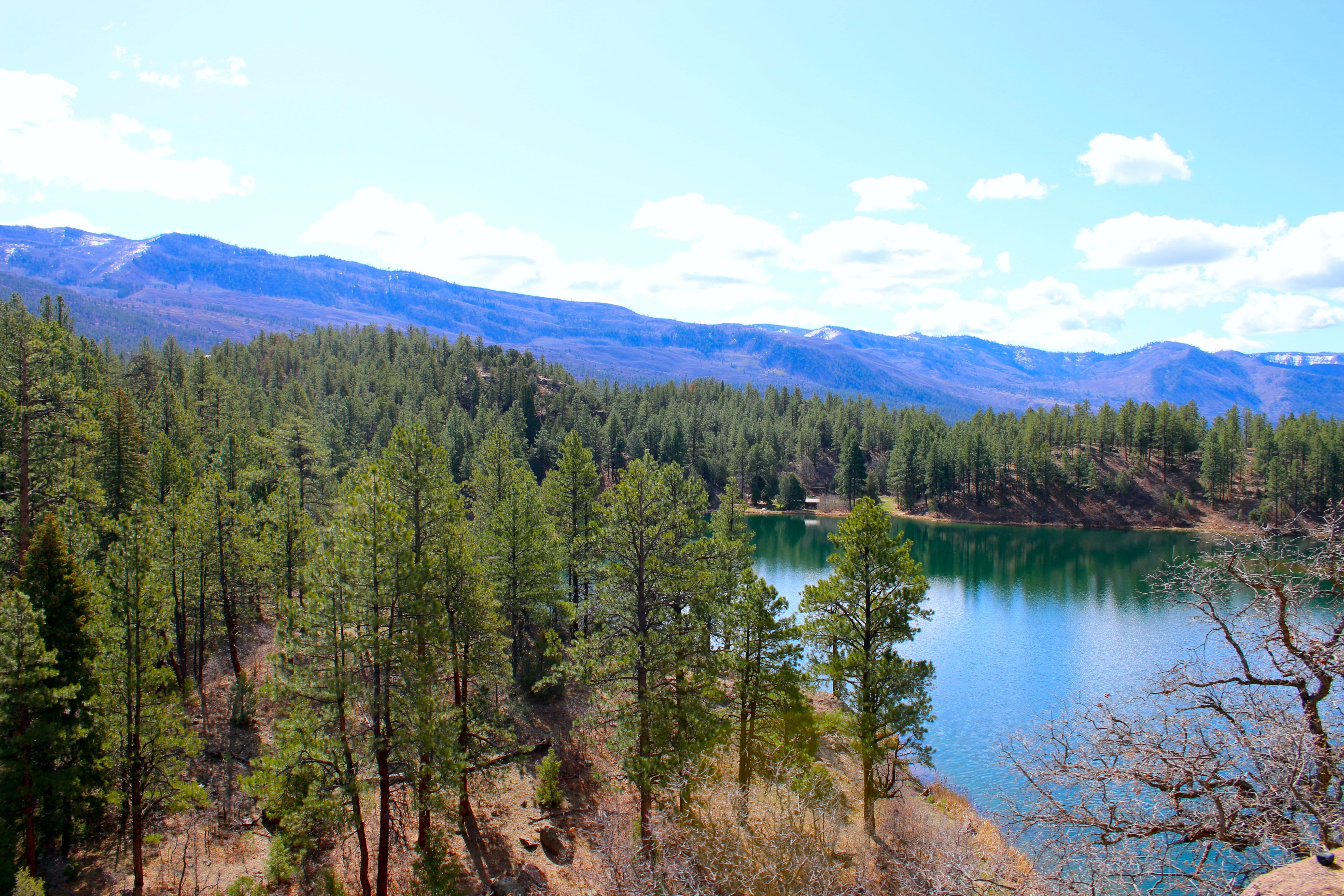 A scenic view view from the Durango to Silverton train ride