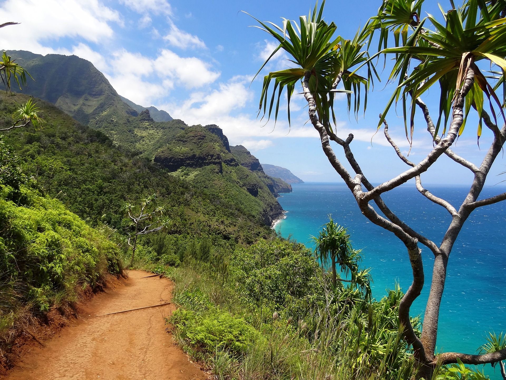 Hiking trail Kalalau trail napali coast