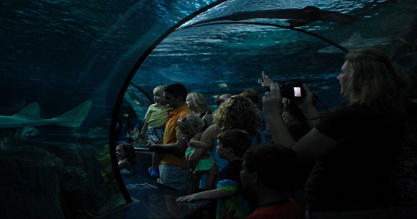 People at an aquarium