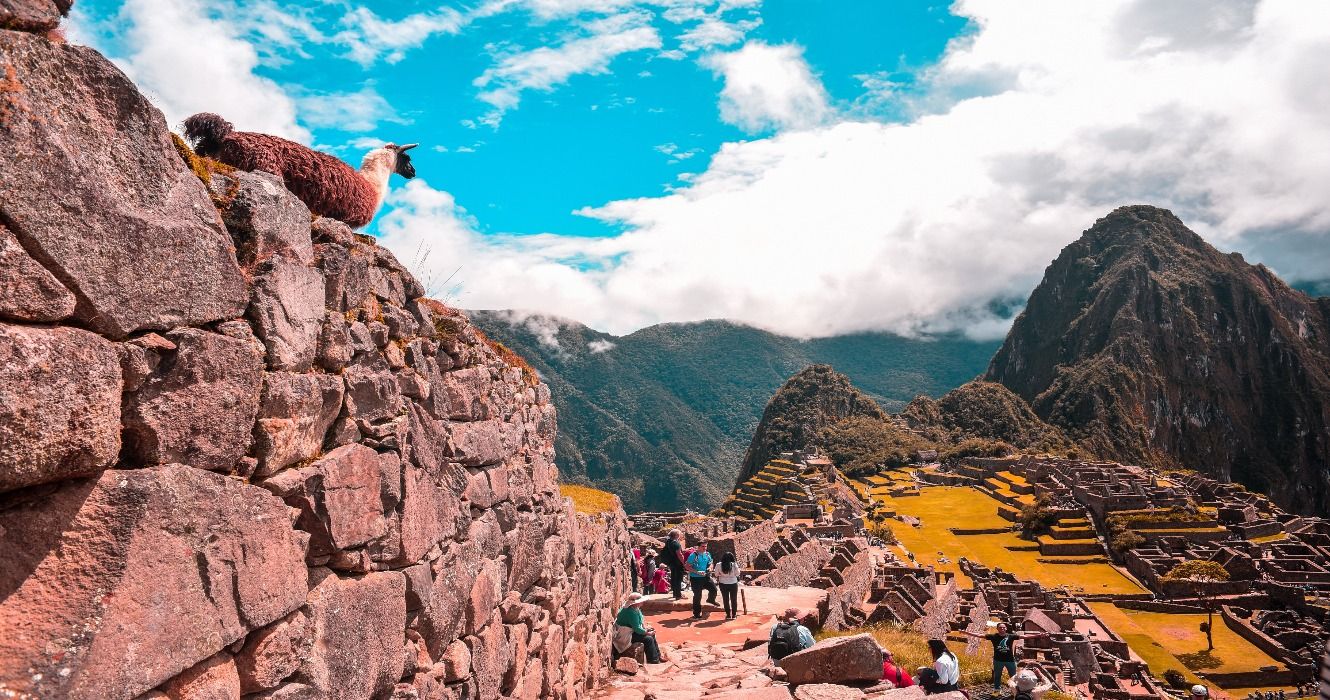 Hikers on the trail to Machu Picchu