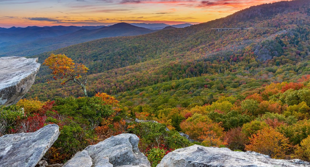 Wilderness Overlook In North Carolina