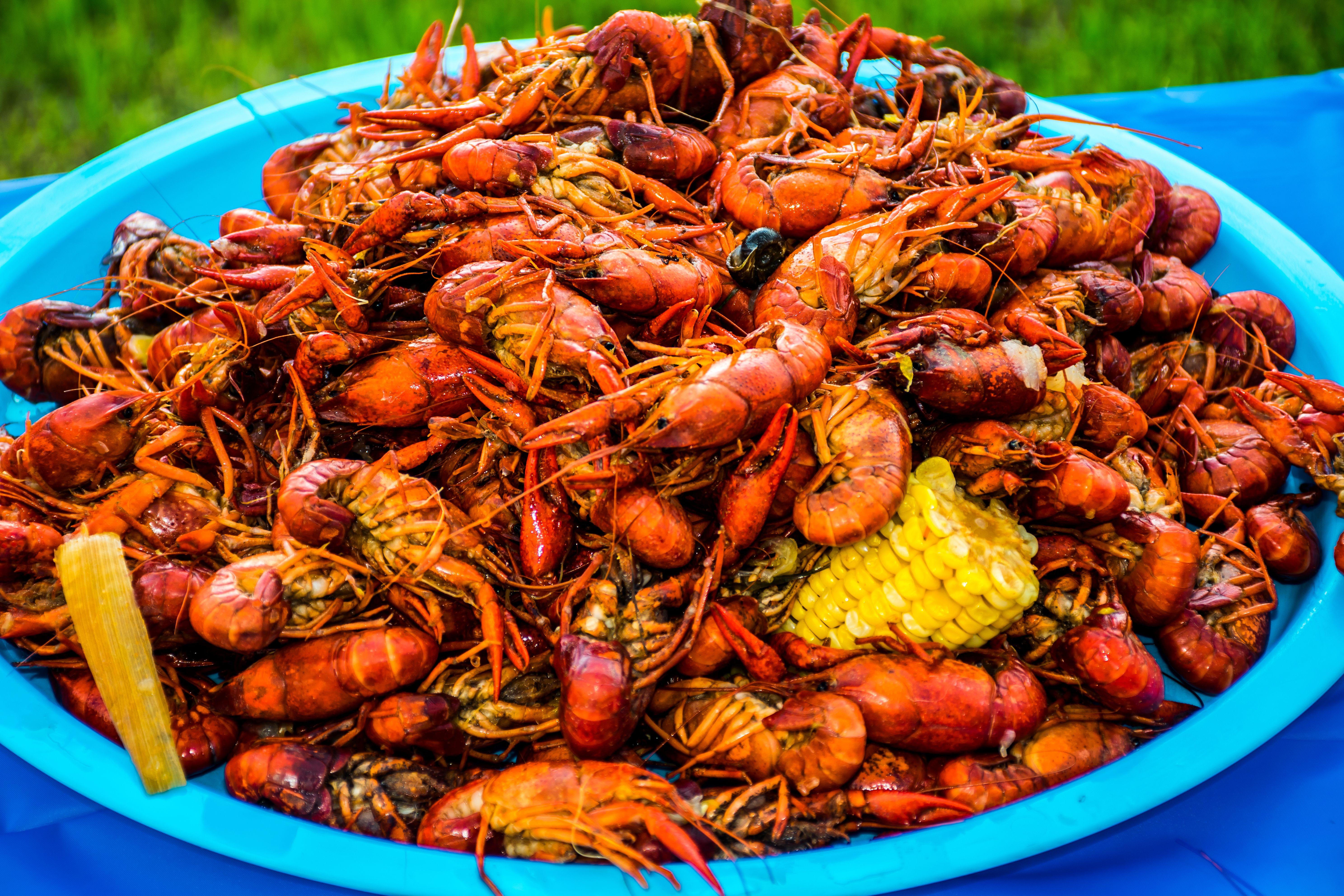 A plate of crawfish served with corn