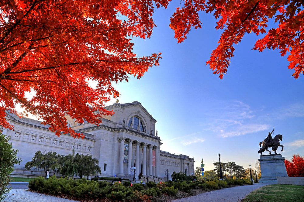 Fall foliage around the St. Louis Art Museum