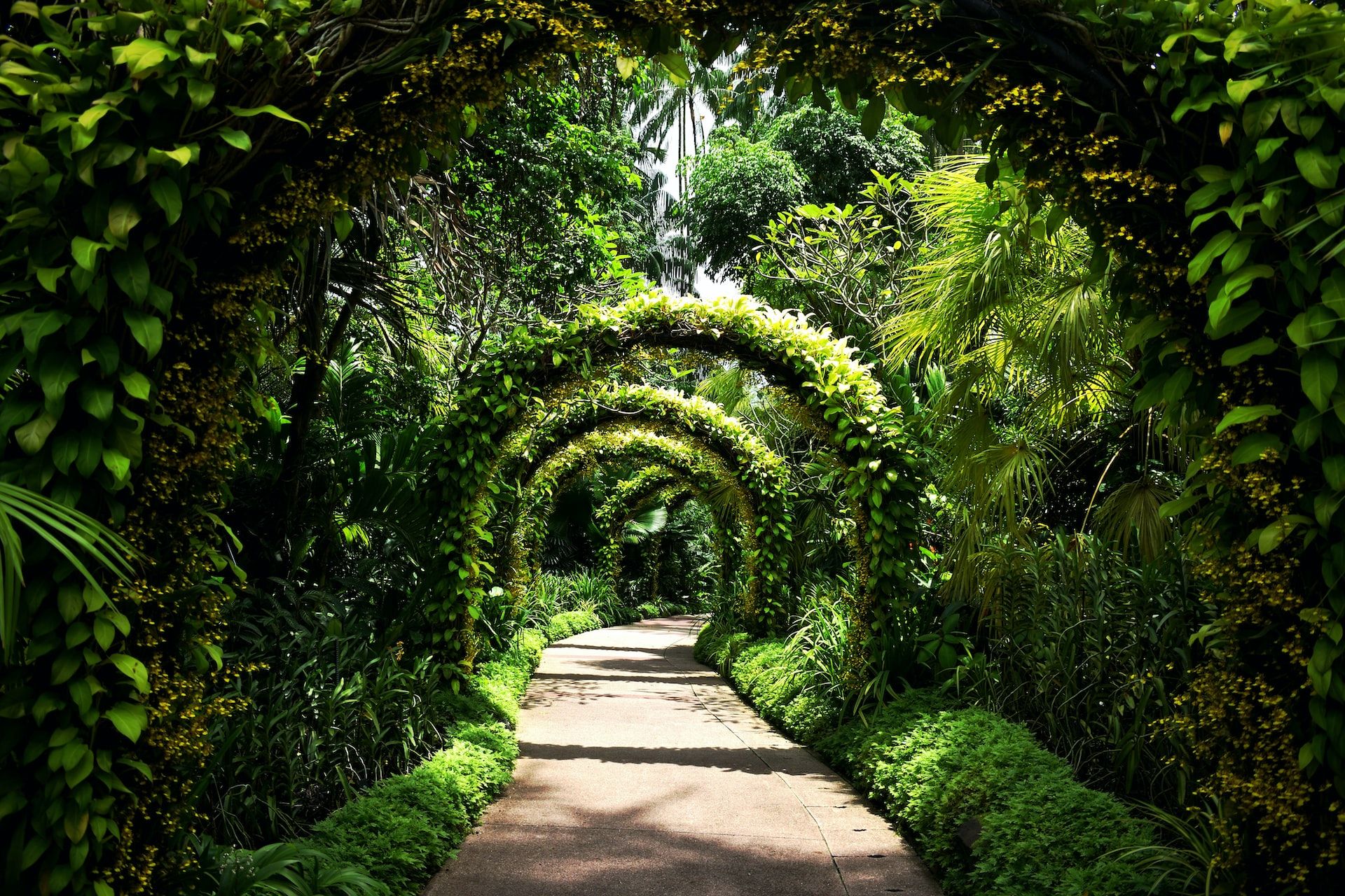 Lush botanic gardens in Singapore