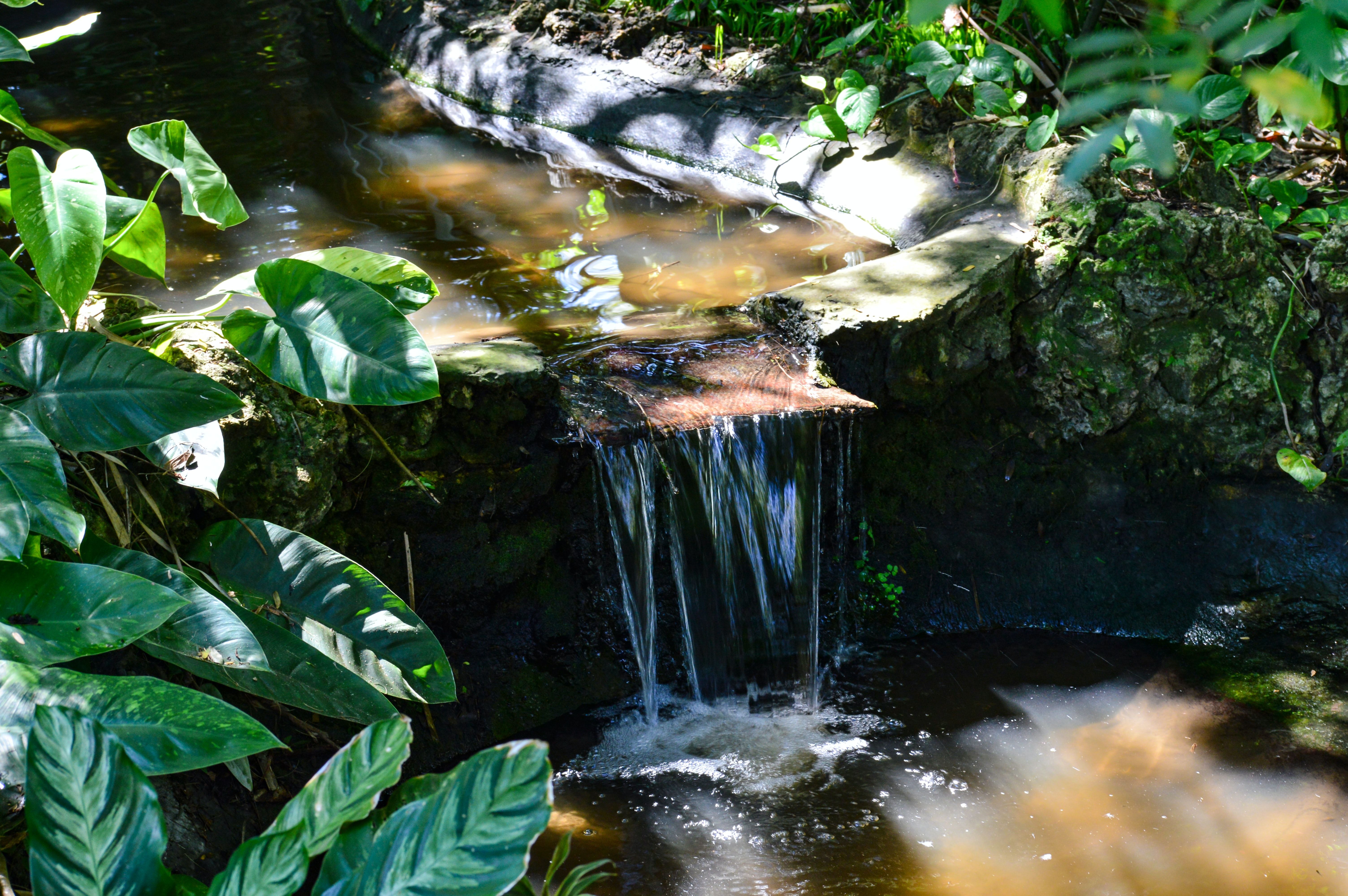 Waterfall in Sunken Gardens Botanical Garden in St. Petersburg, Florida
