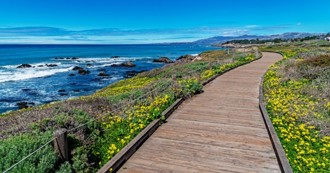The boardwalk on Moonstone Beach, Cambria, California