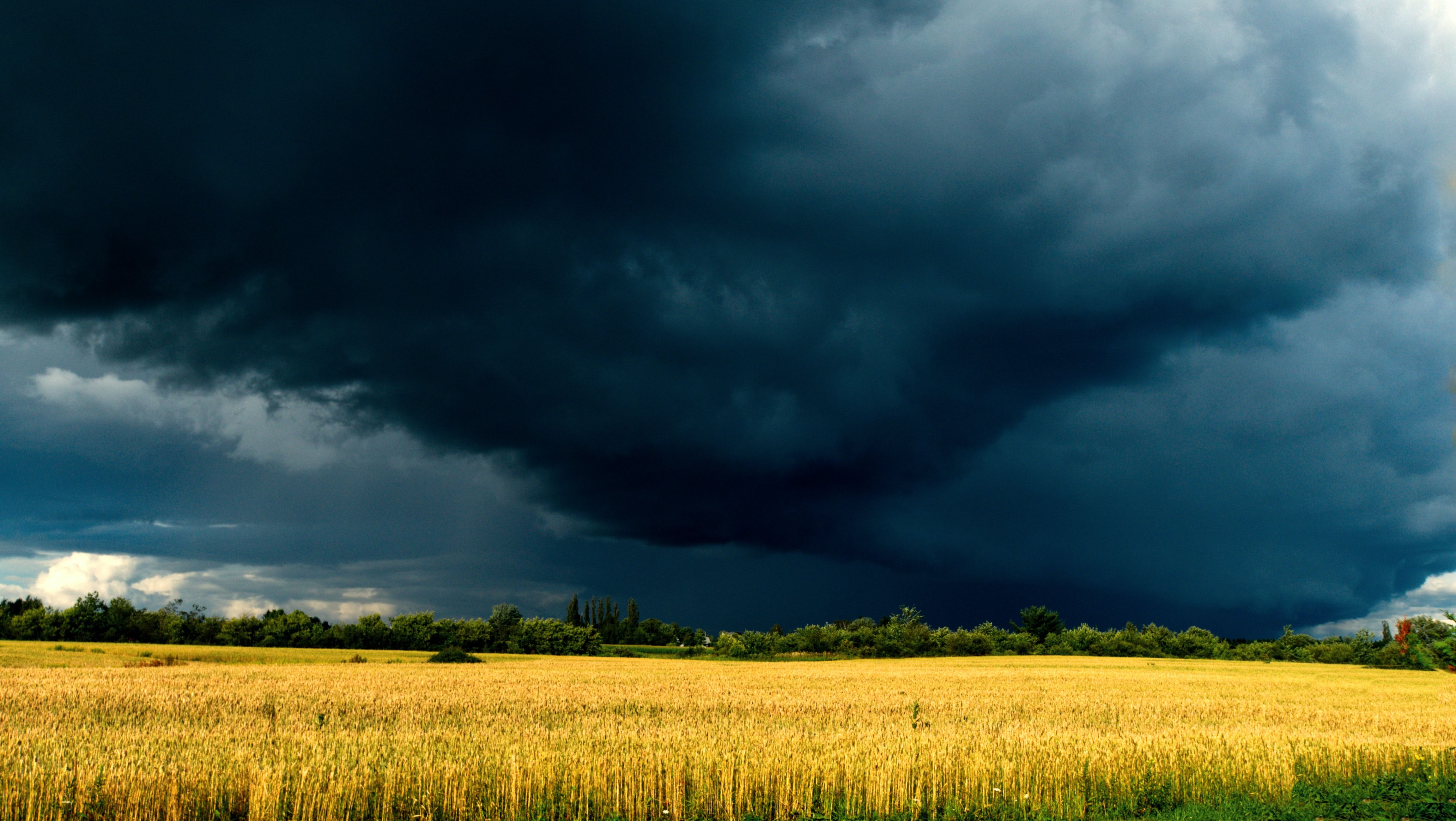 A tornado developing in a storm as dark clouds hover over a farming field 