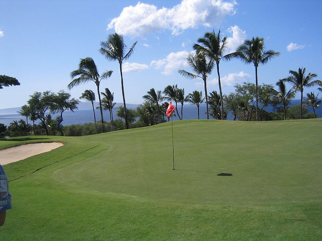Wailea Golf Course with palm trees and the ocean in the distance