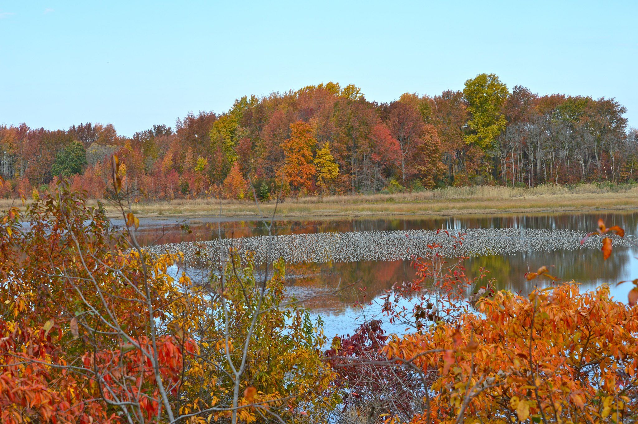 View from an observation tower at Bombay Hook National Wildlife refuge