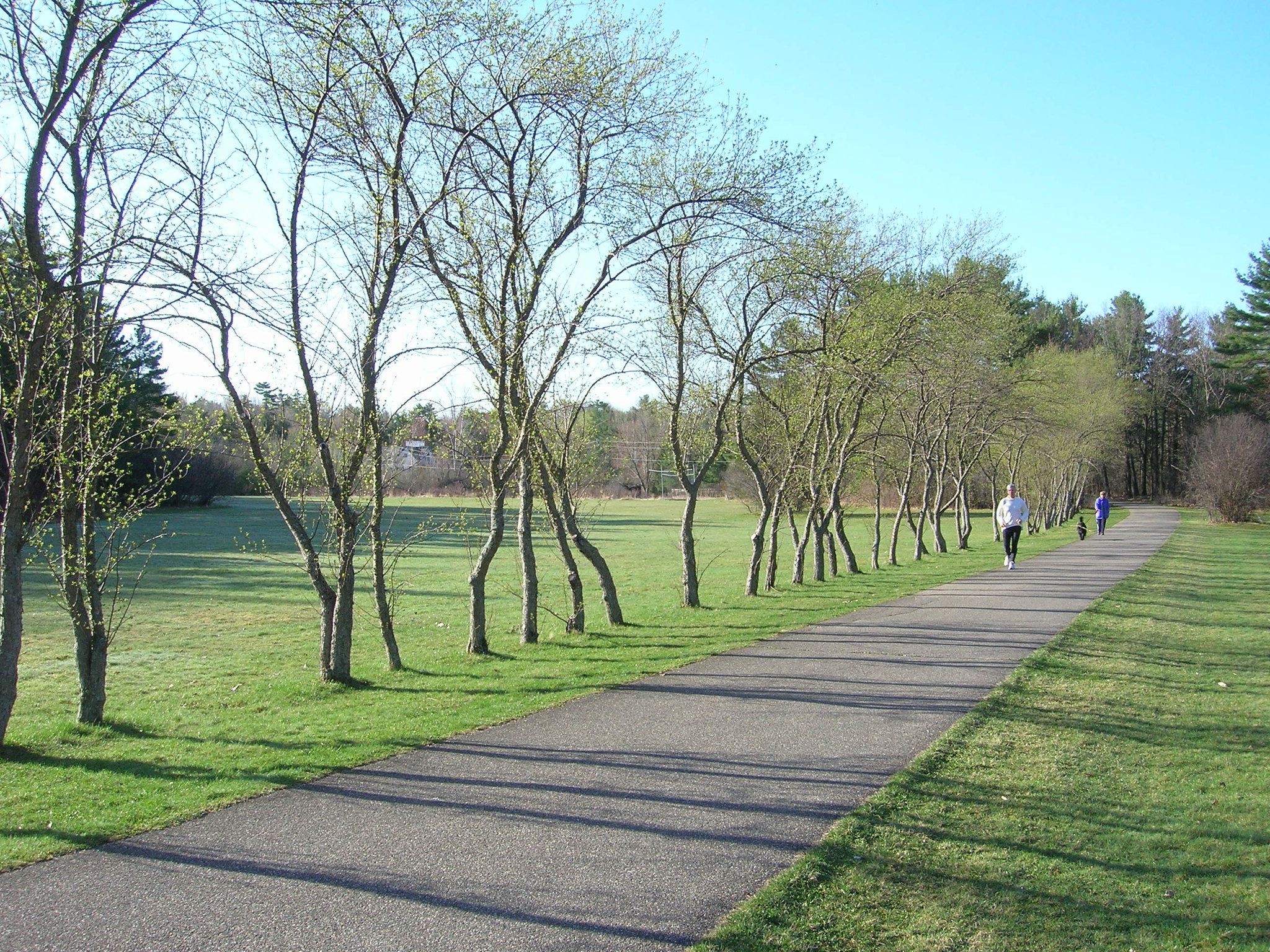 A path in Oakledge Park, Burlington VT