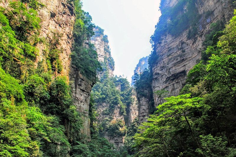 Floresta Nacional de Zhangjiajie 