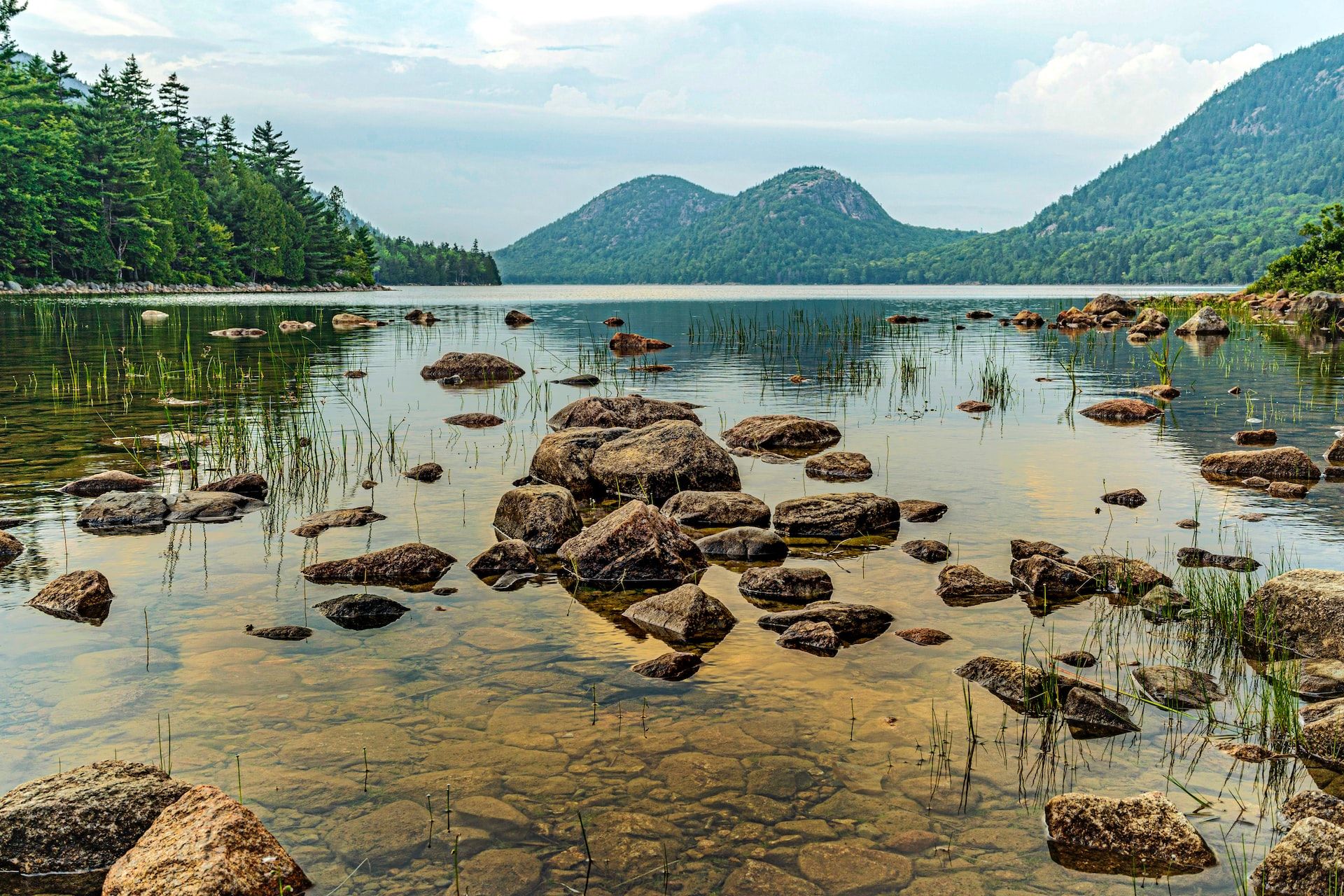 The 10 Best DogFriendly Hikes In Acadia National Park