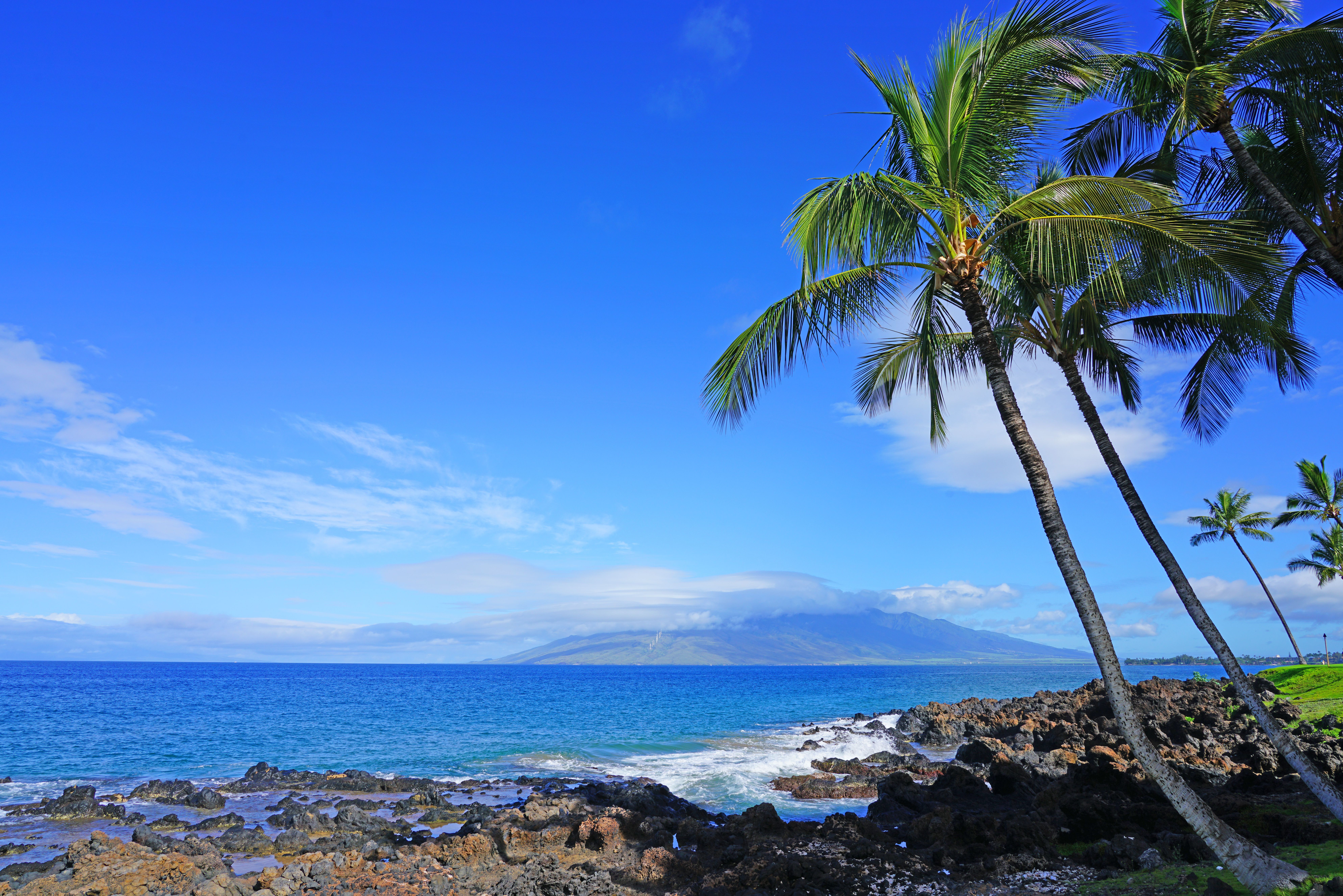 View of palm trees and black lava rock on the beach in Wailea 