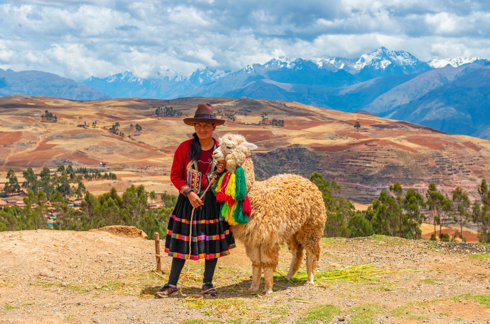 Uma senhora indígena Quechua com alpaca