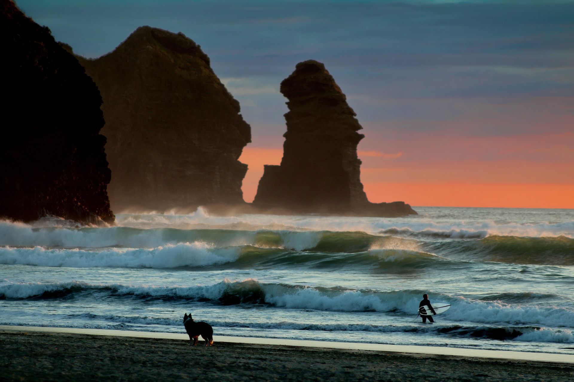 A surfer surfing the waves at Piha Beach in Auckland, New Zealand