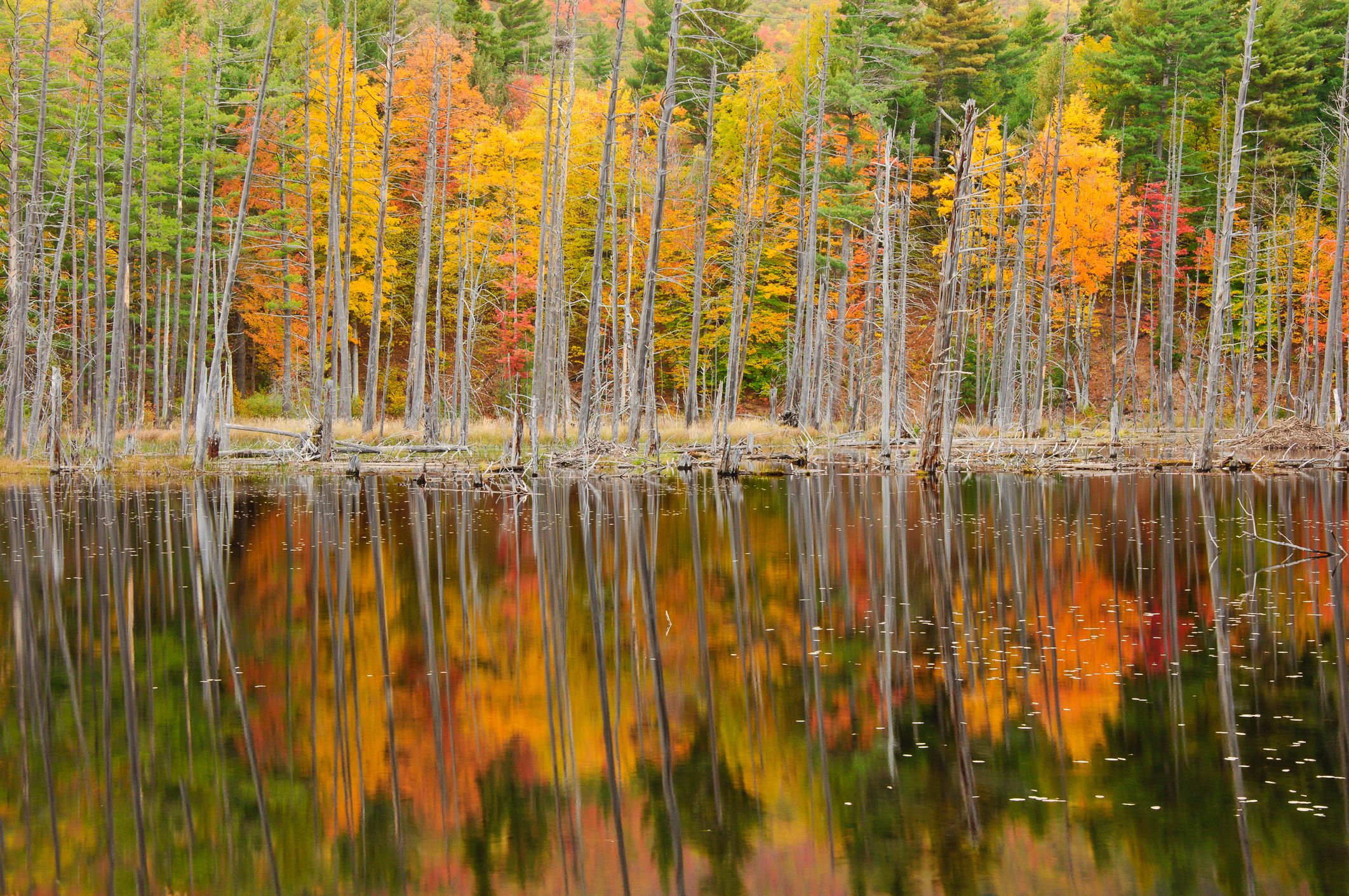 A Colorful Autumn Morning On Tupper Lake