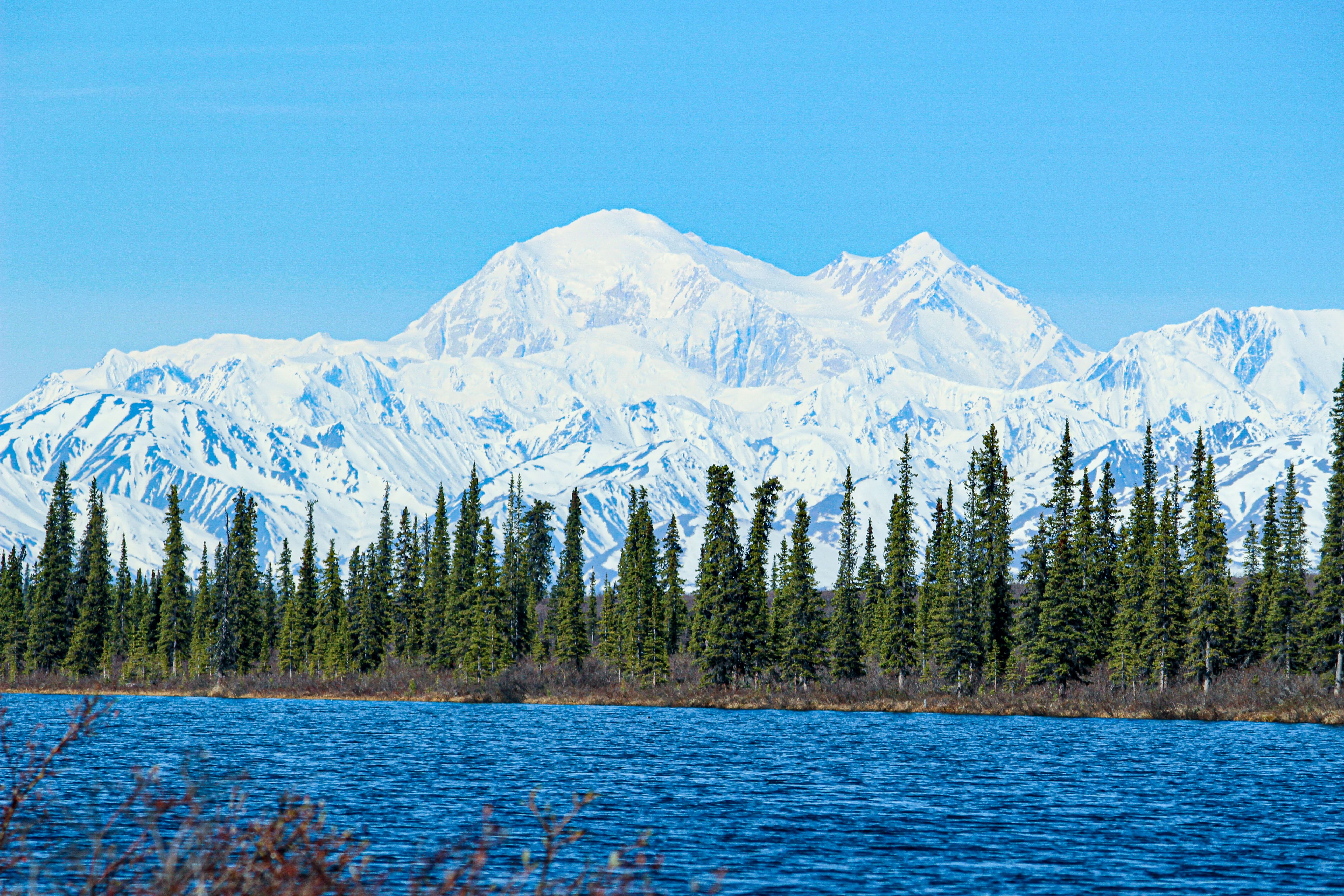 O rio Nenana no Parque Nacional Denali, Alasca, em um dia ensolarado