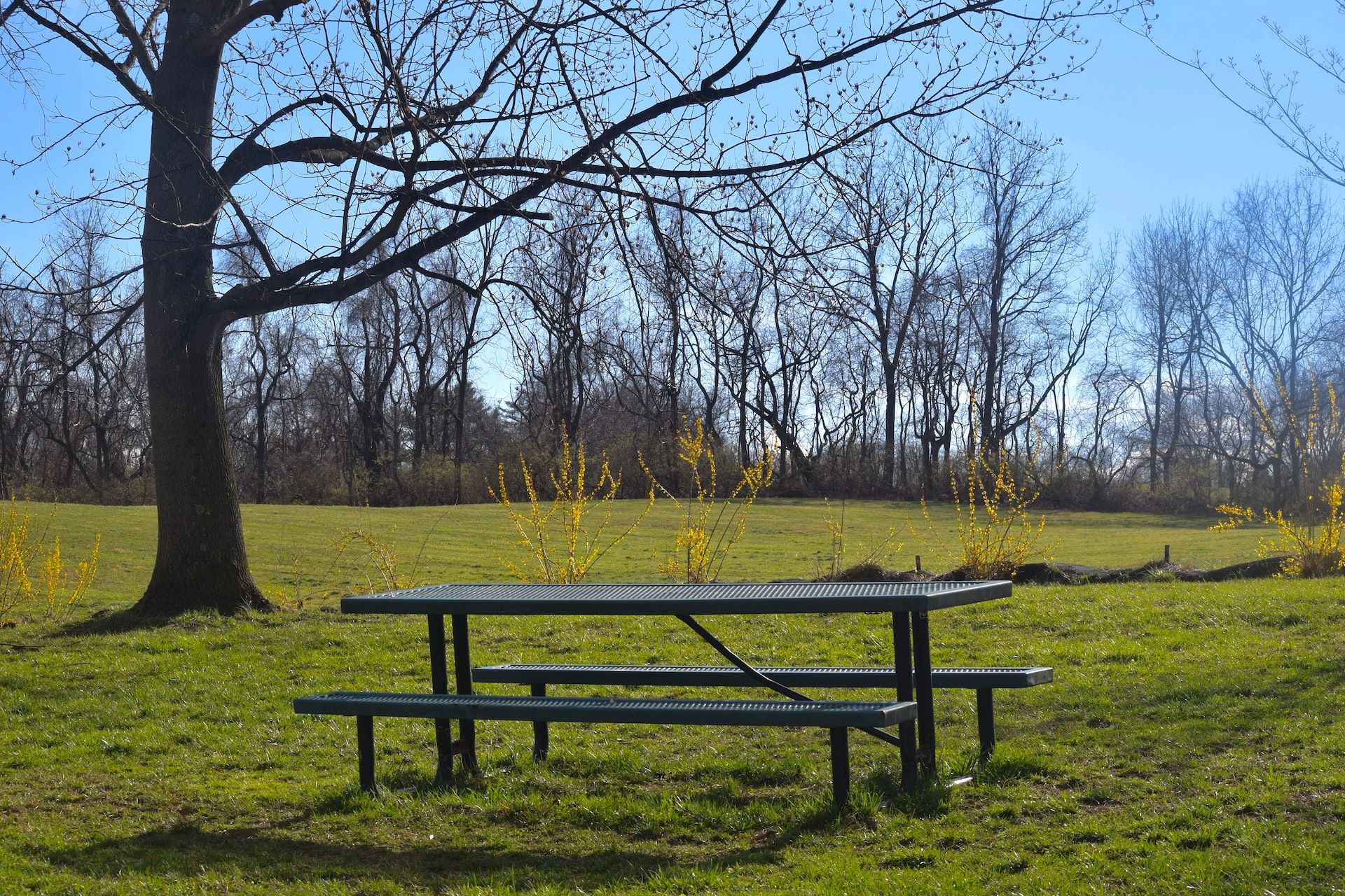 Enjoy an afternoon walk through one of Wilmington's many green spaces.