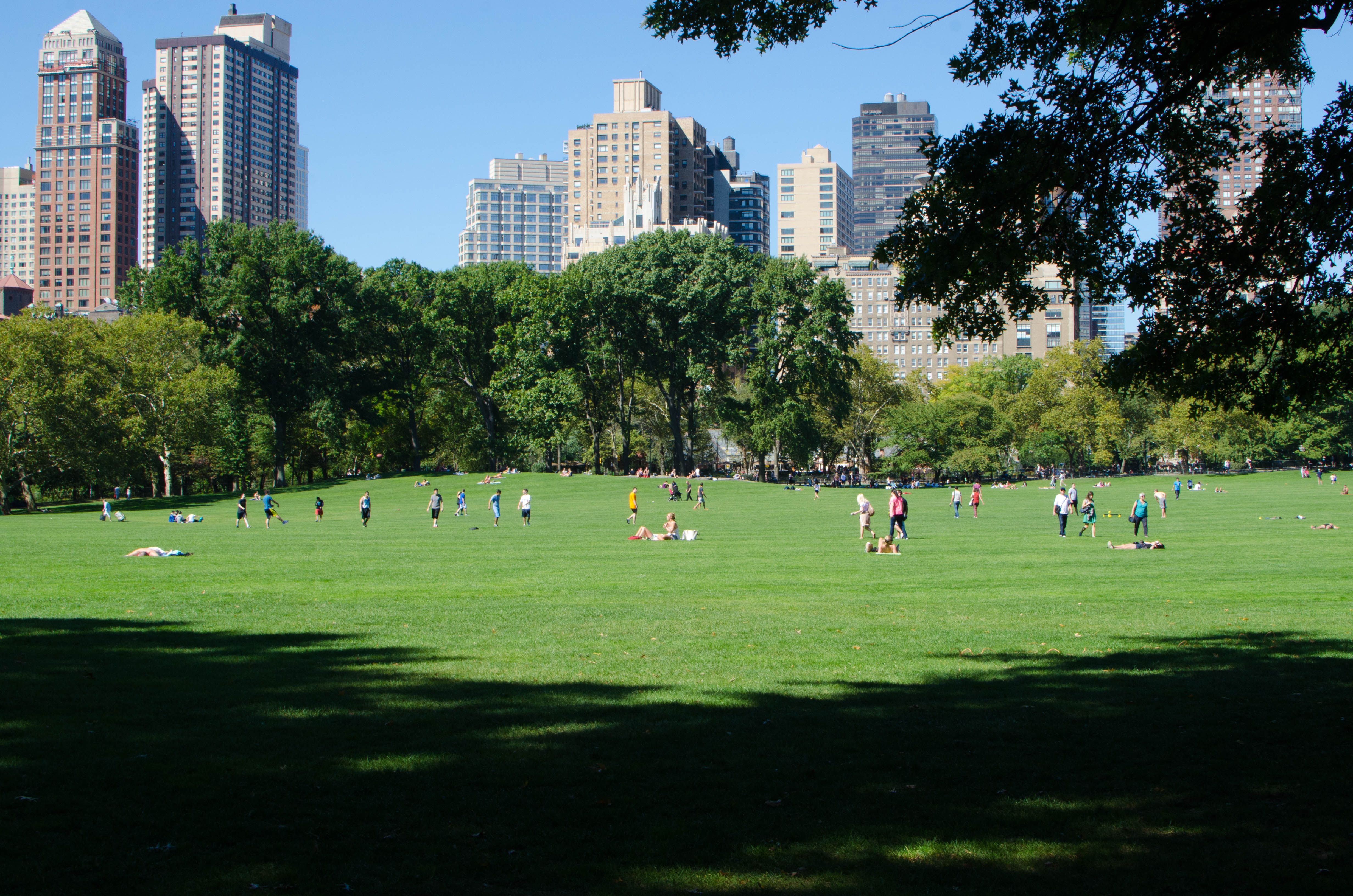 Povos que visitam o Central Park em New York City