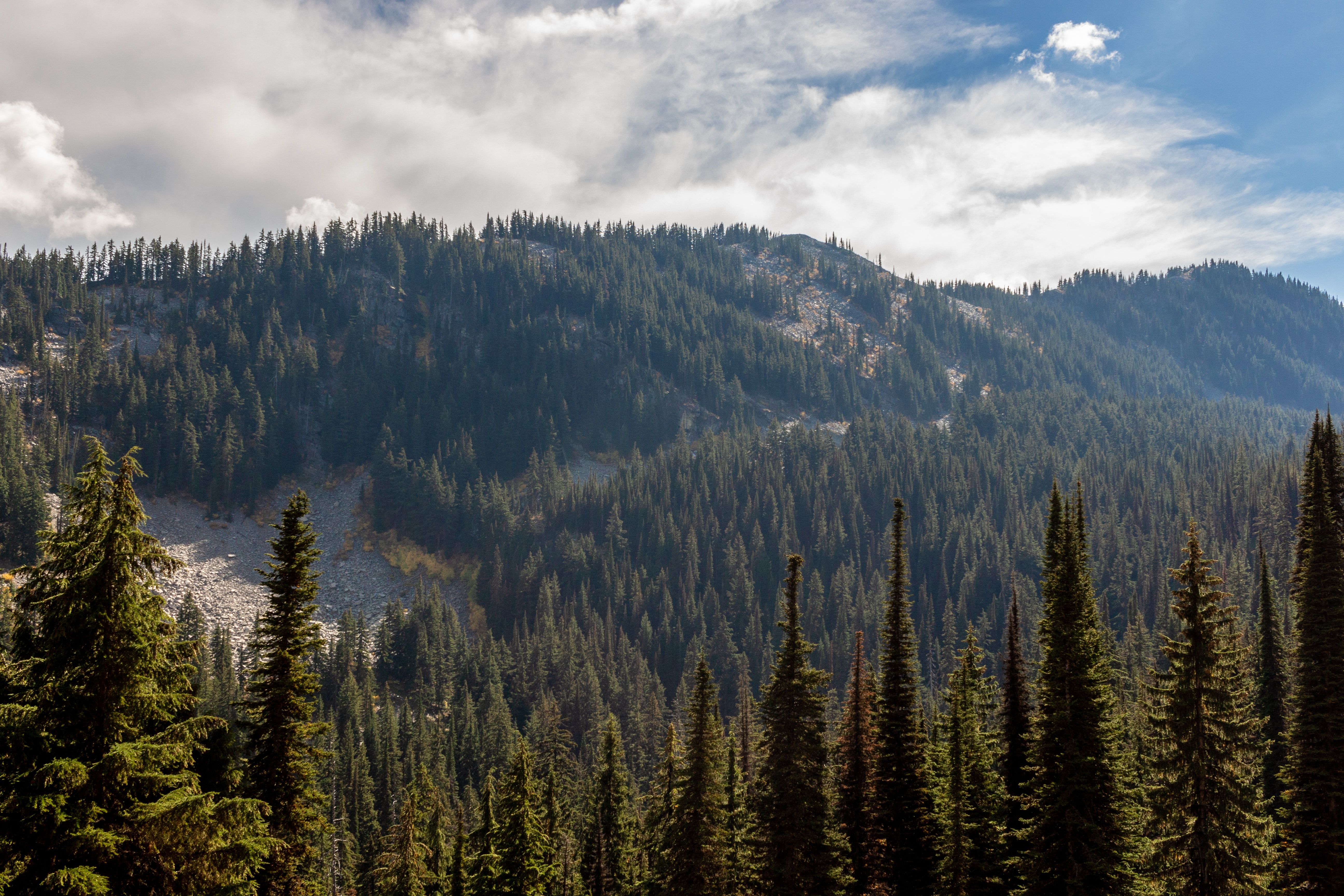 Florestas Nacionais de Idaho Panhandle 