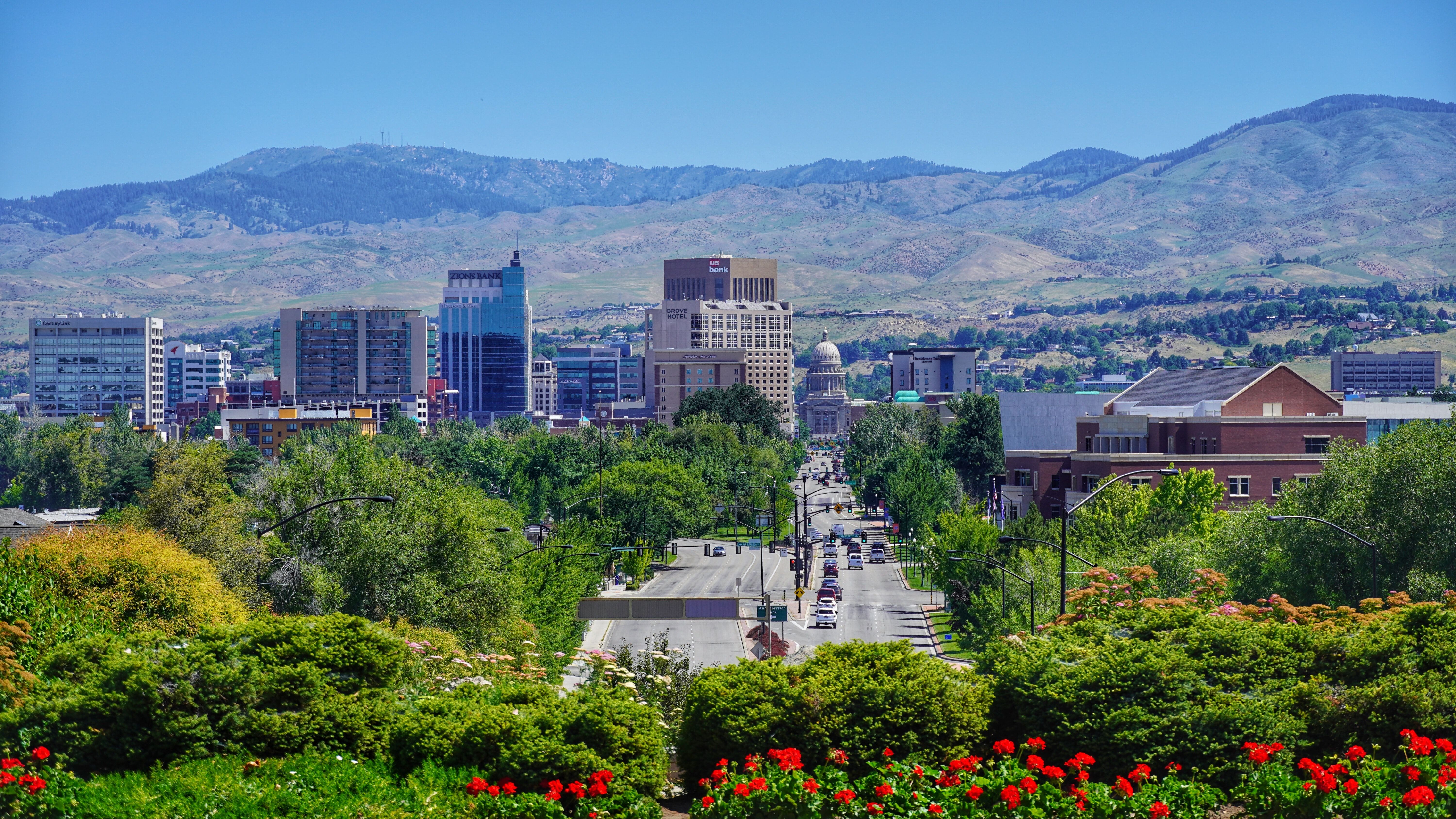 View of spring blooms in Boise, Idaho, with backdrop of mountains