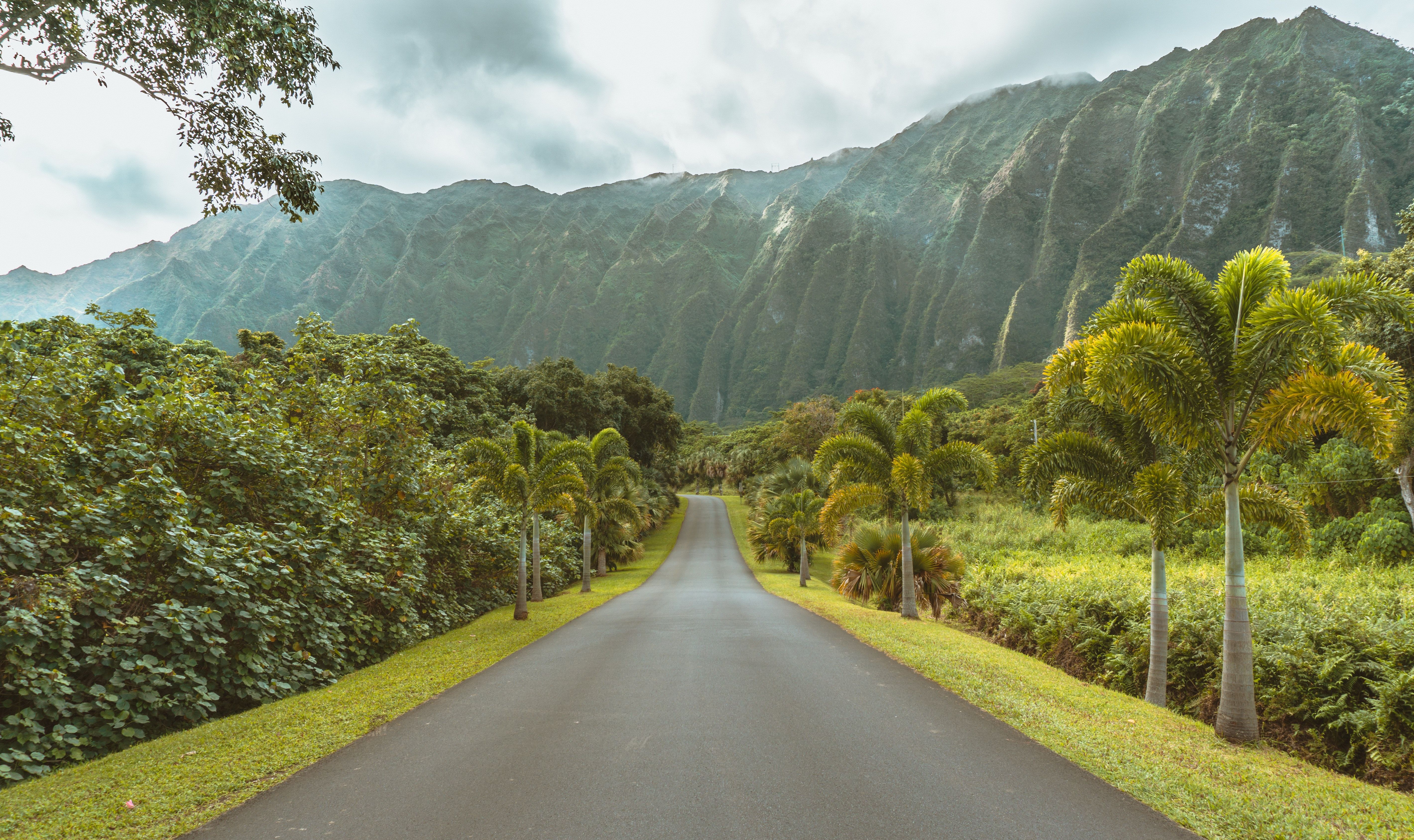 A road in the Ho’omaluhia Botanical Gardens in Kaneohe. 