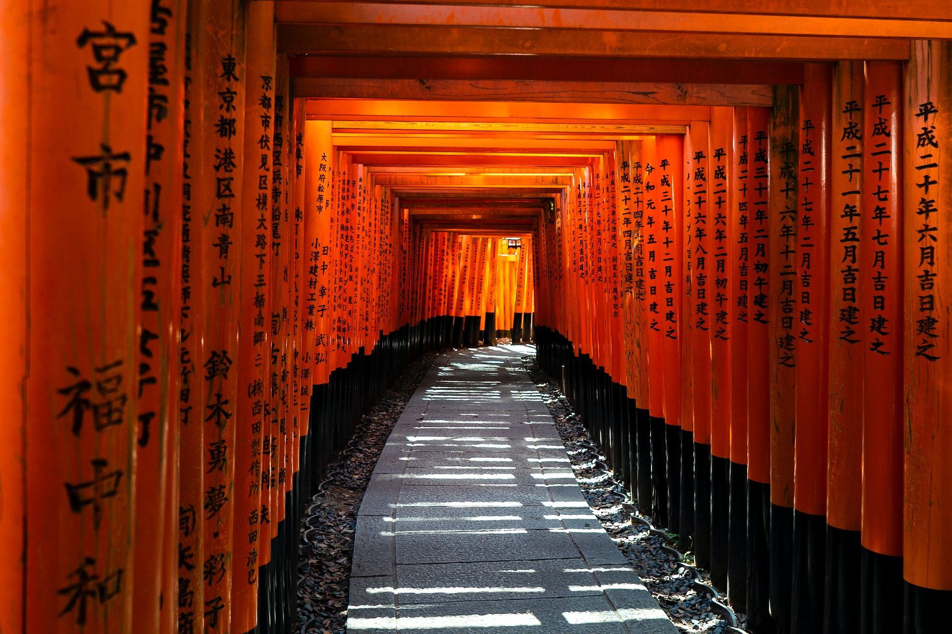 Tori Gates at Fushimi Inari, Kyoto, Japan