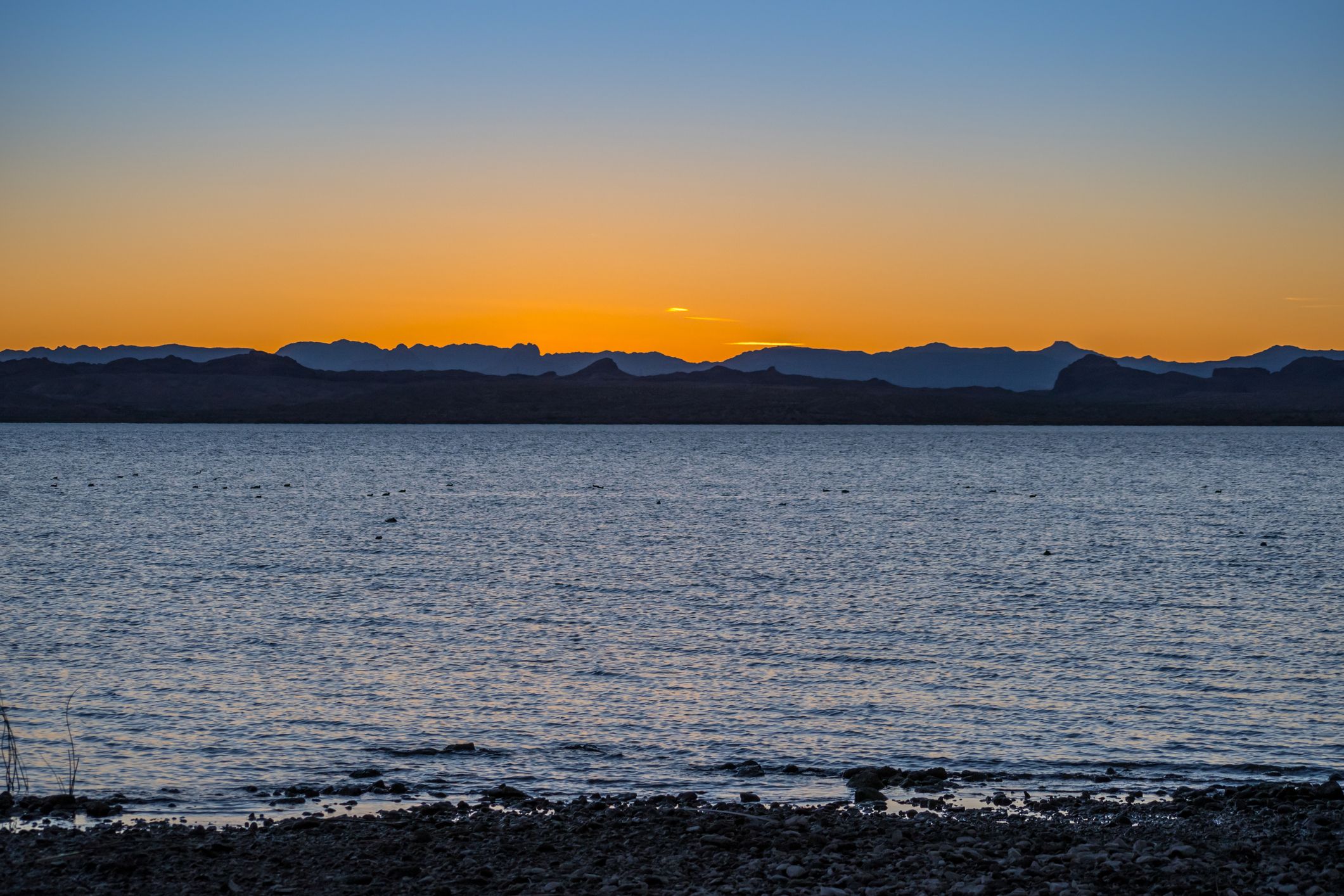 windsor-beach-in-lake-havasu