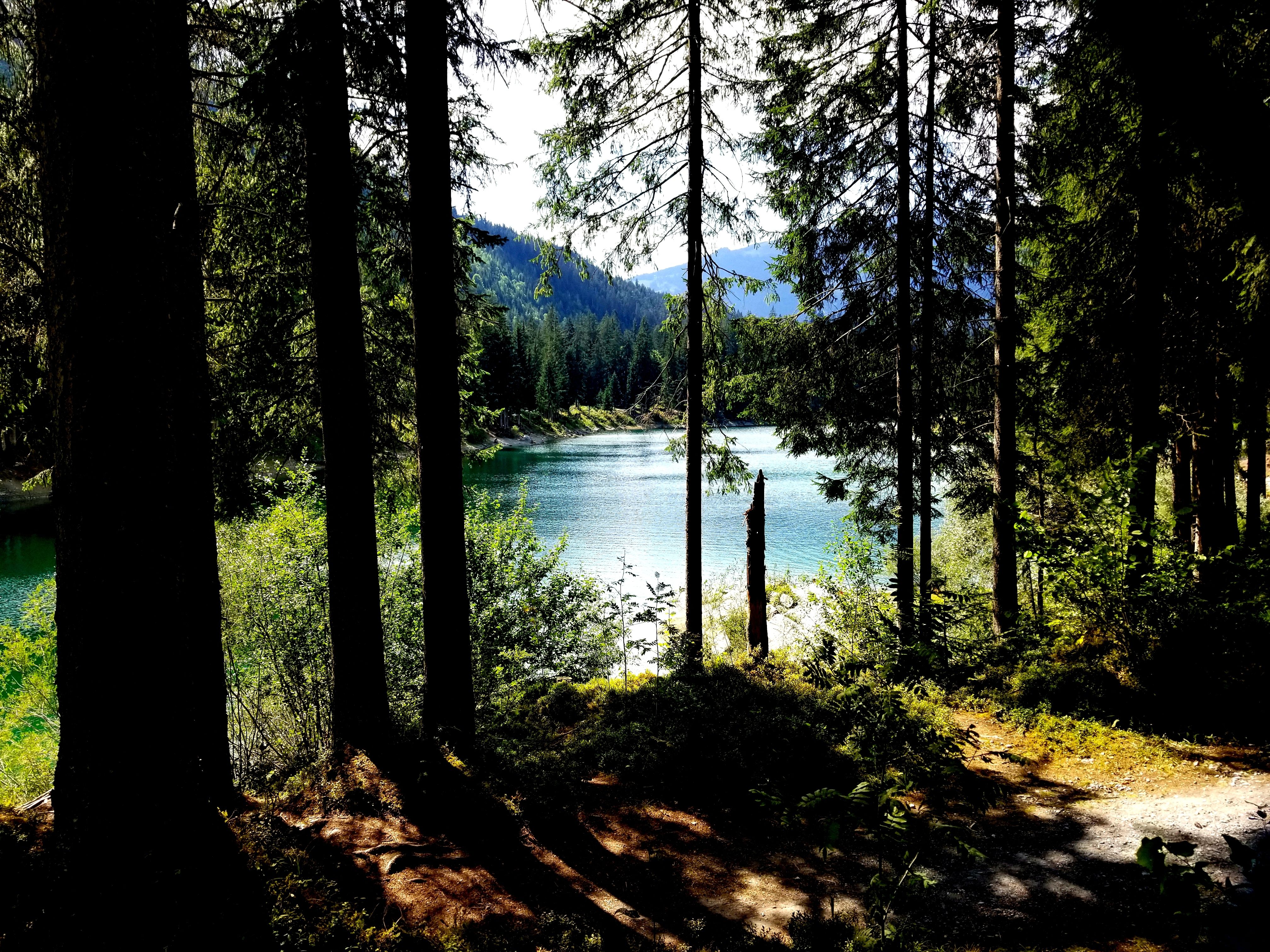 A lake between trees in Flims, Switzerland