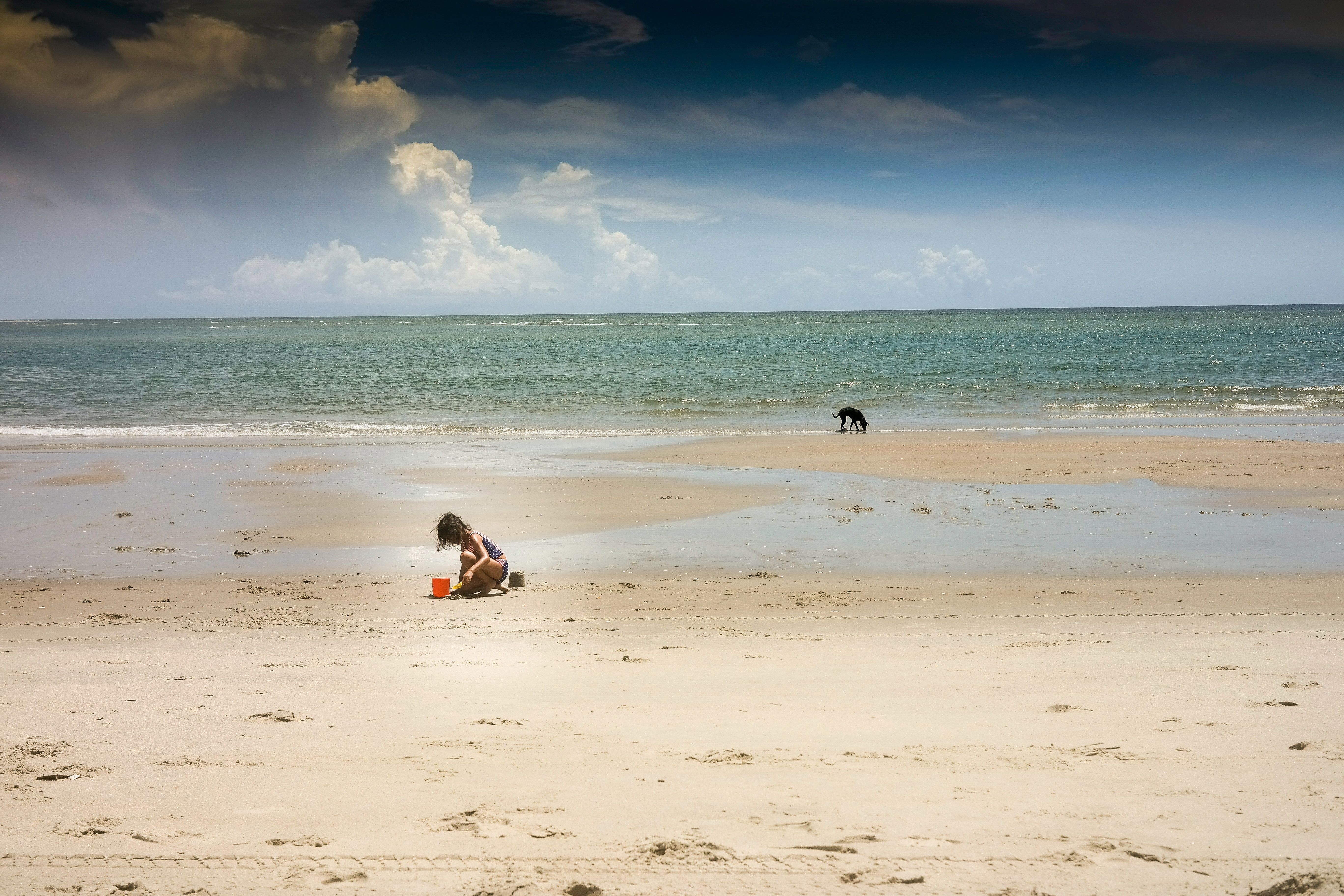 Child with a dog at the beach on Bald Head Island