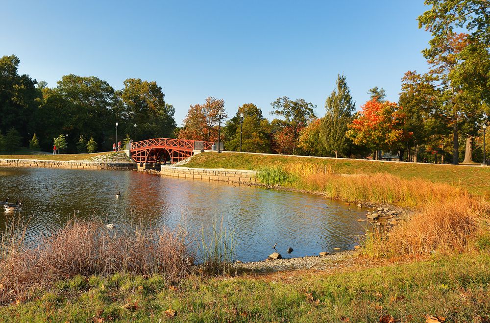 Folhagem de outono colorida em Elm Park em Worcester.