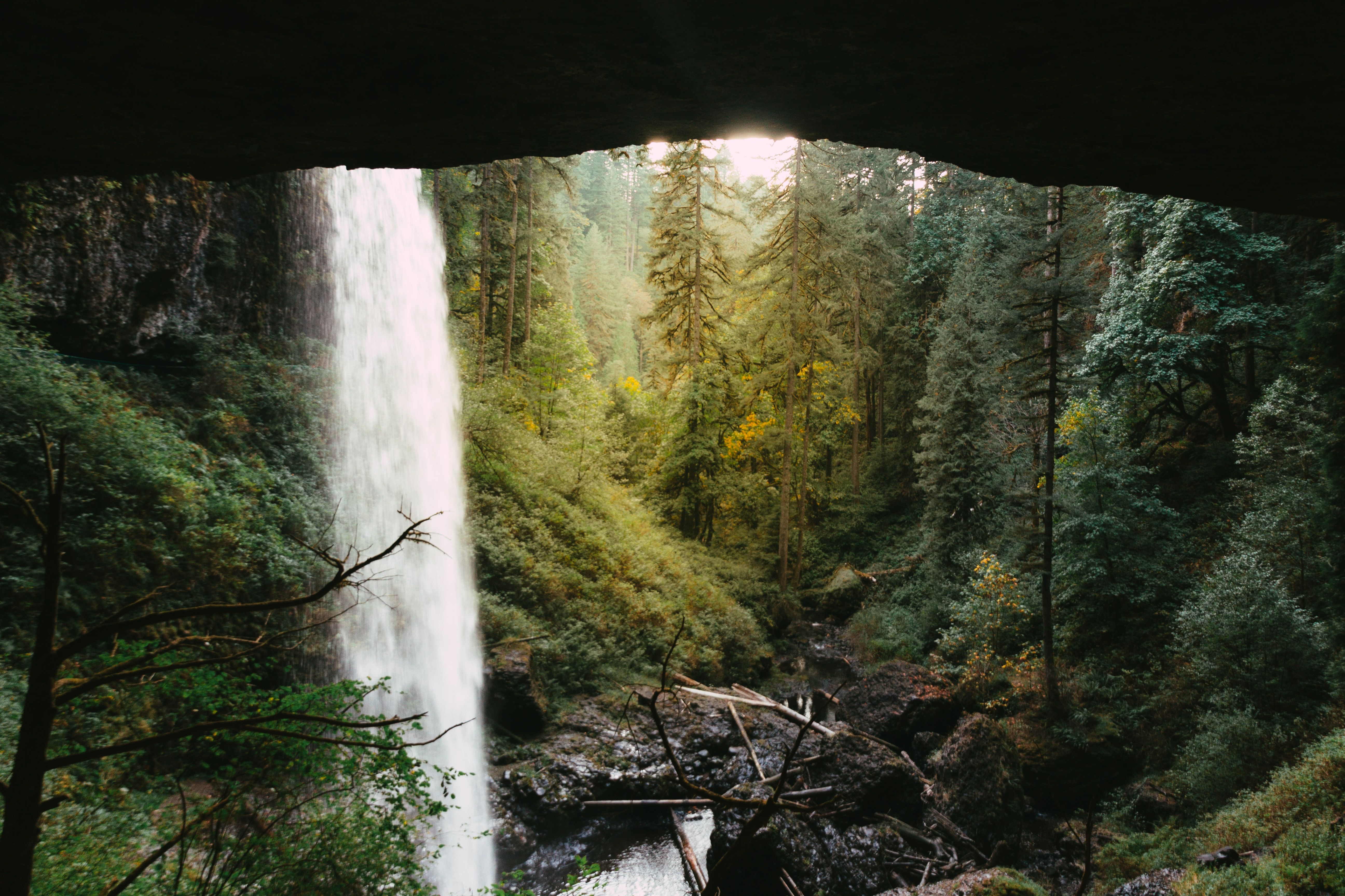 Cachoeira árvores dia natureza