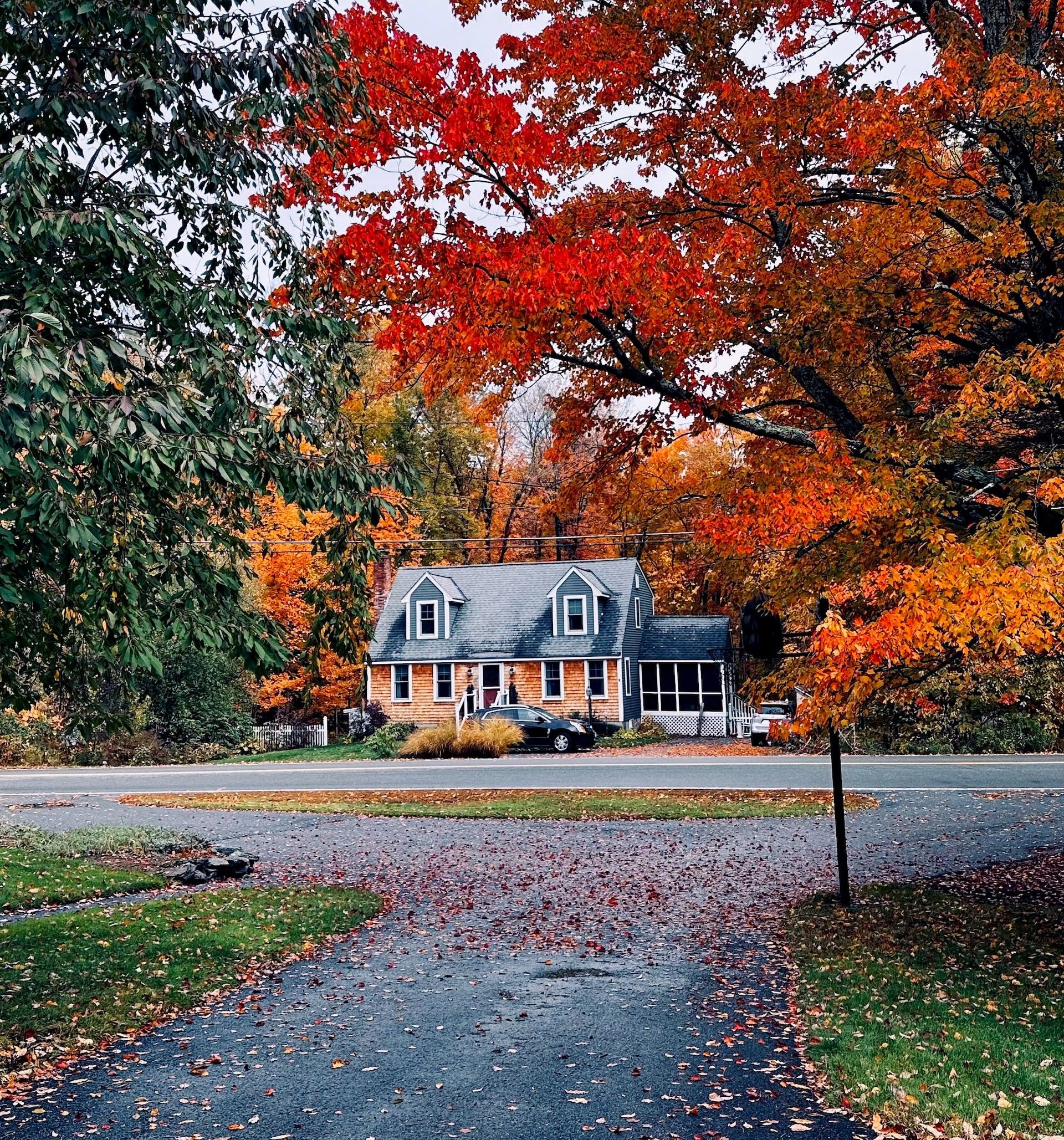 Folhagem de outono em Massachusetts.