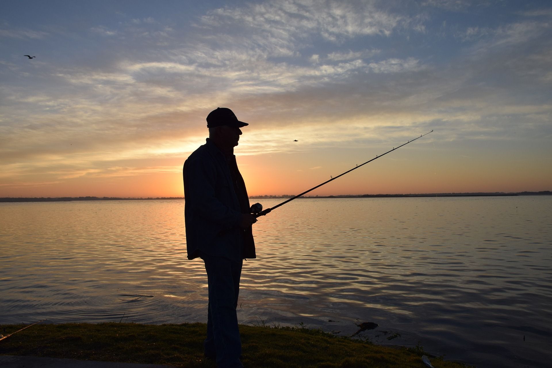 Senko Archives - Lake Toho Guides - The Ultimate Orlando Fishing Experience.