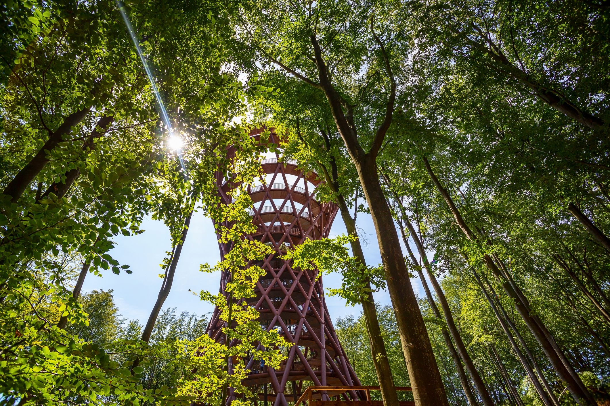 forest tower tour copenhagen