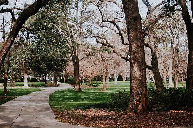 Discovering The Serenity Of Forsyth Park Savannah, A MustVisit