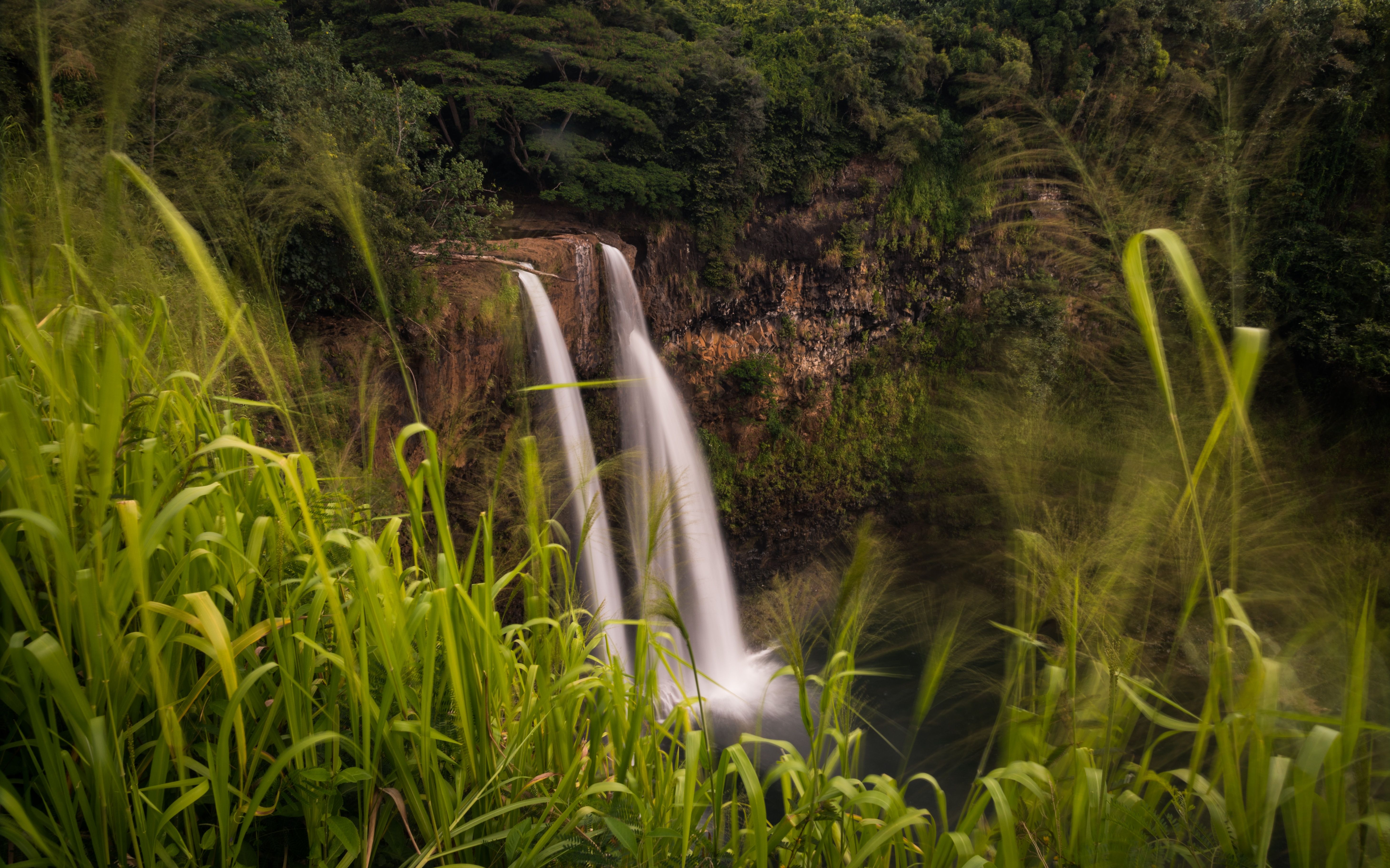 cachoeiras gramíneas Kauai Havaí 
