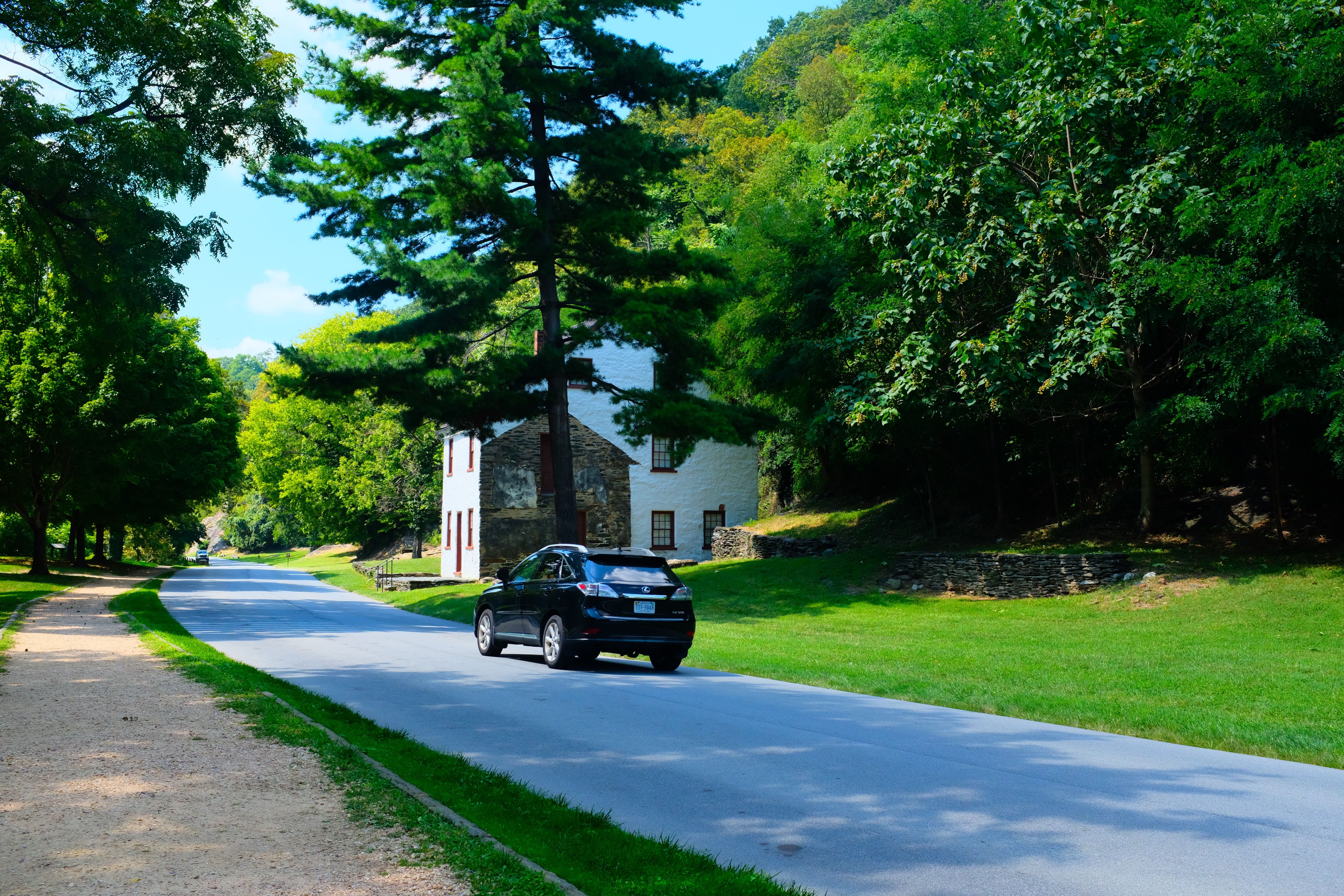 Trees car trees scenery