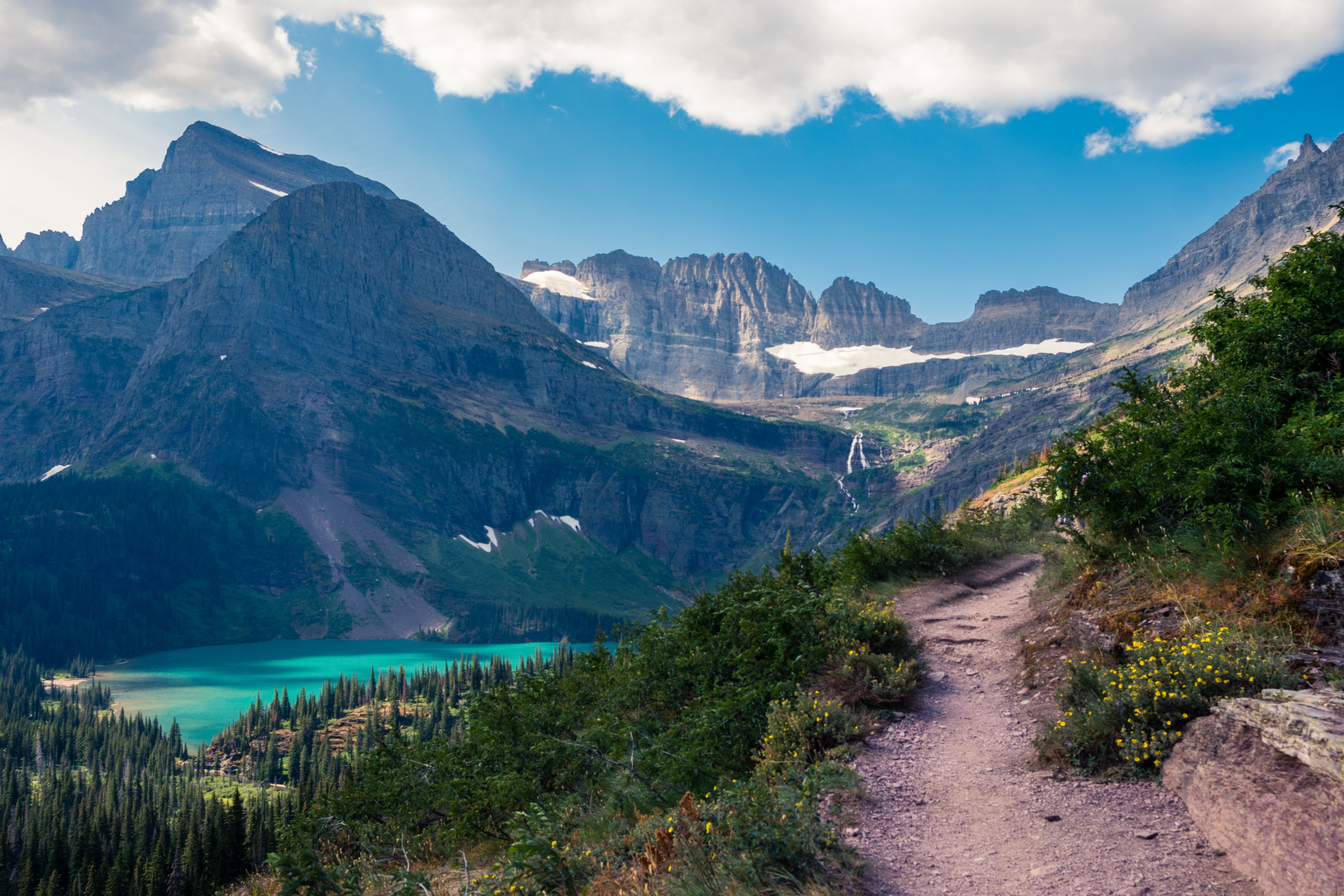 A path in Glacier National Park