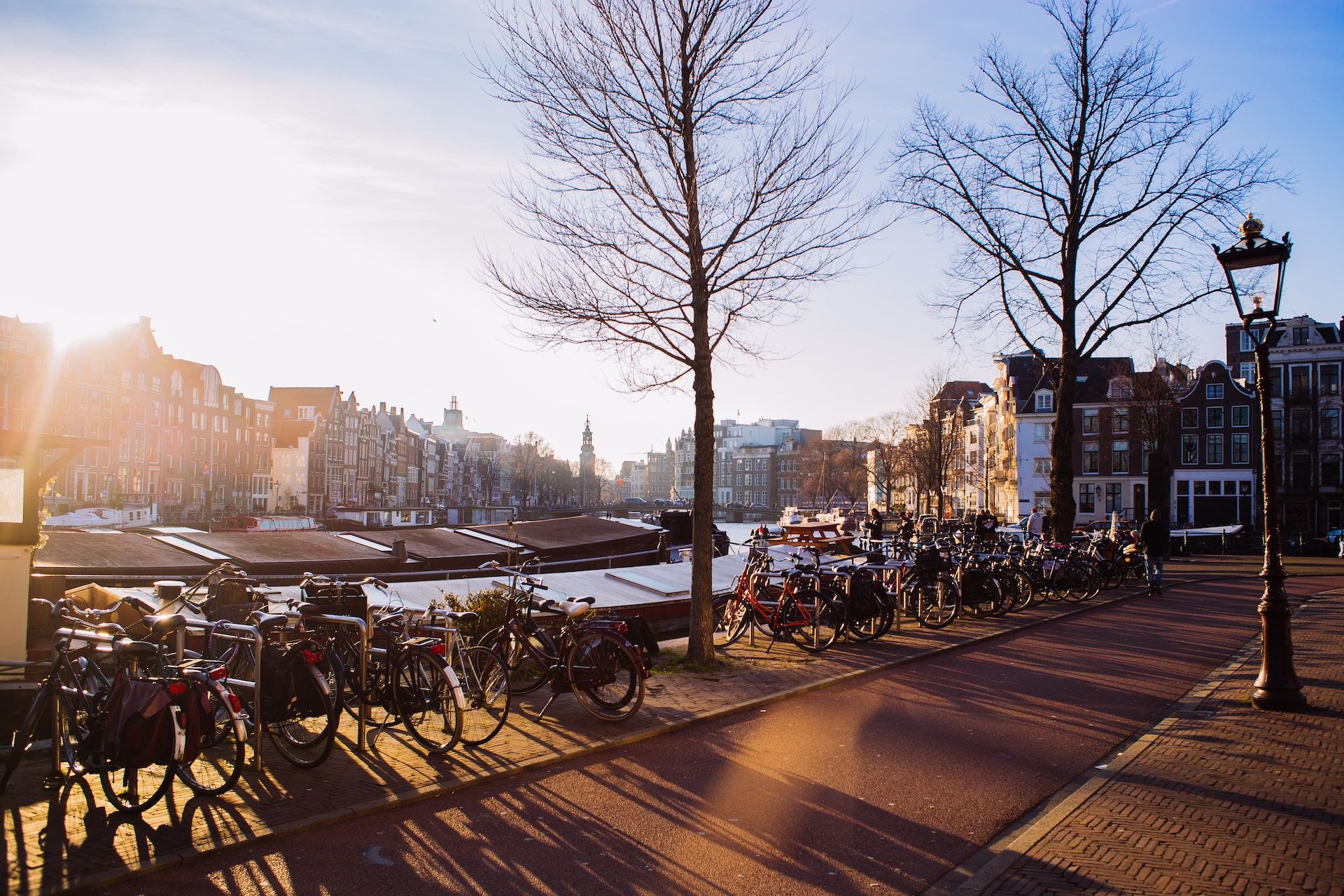 12 Things To Do In Amsterdam: Complete Guide To This Vibrant Dutch Capital