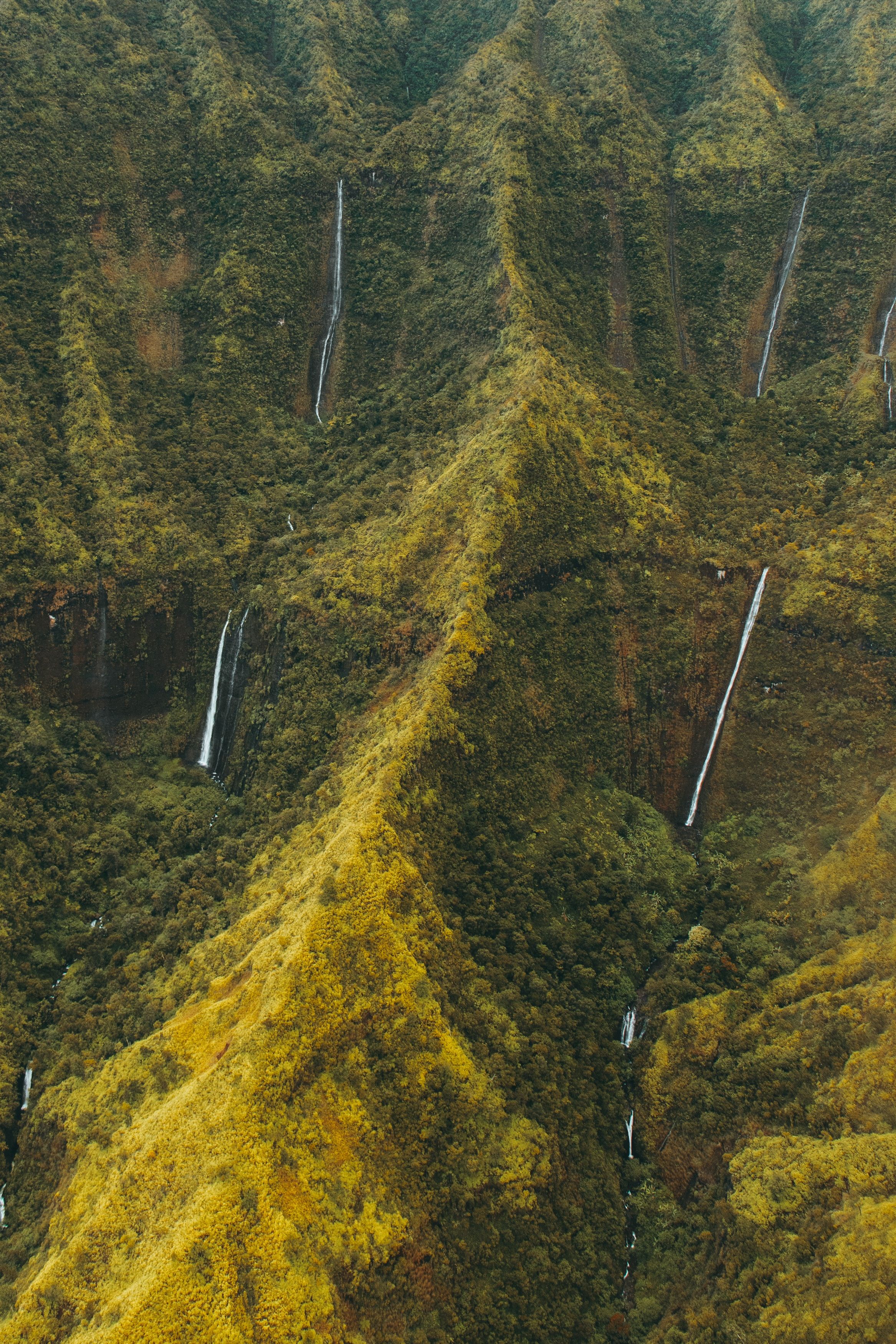 Cachoeira da parede de choro do Monte Waialeale 