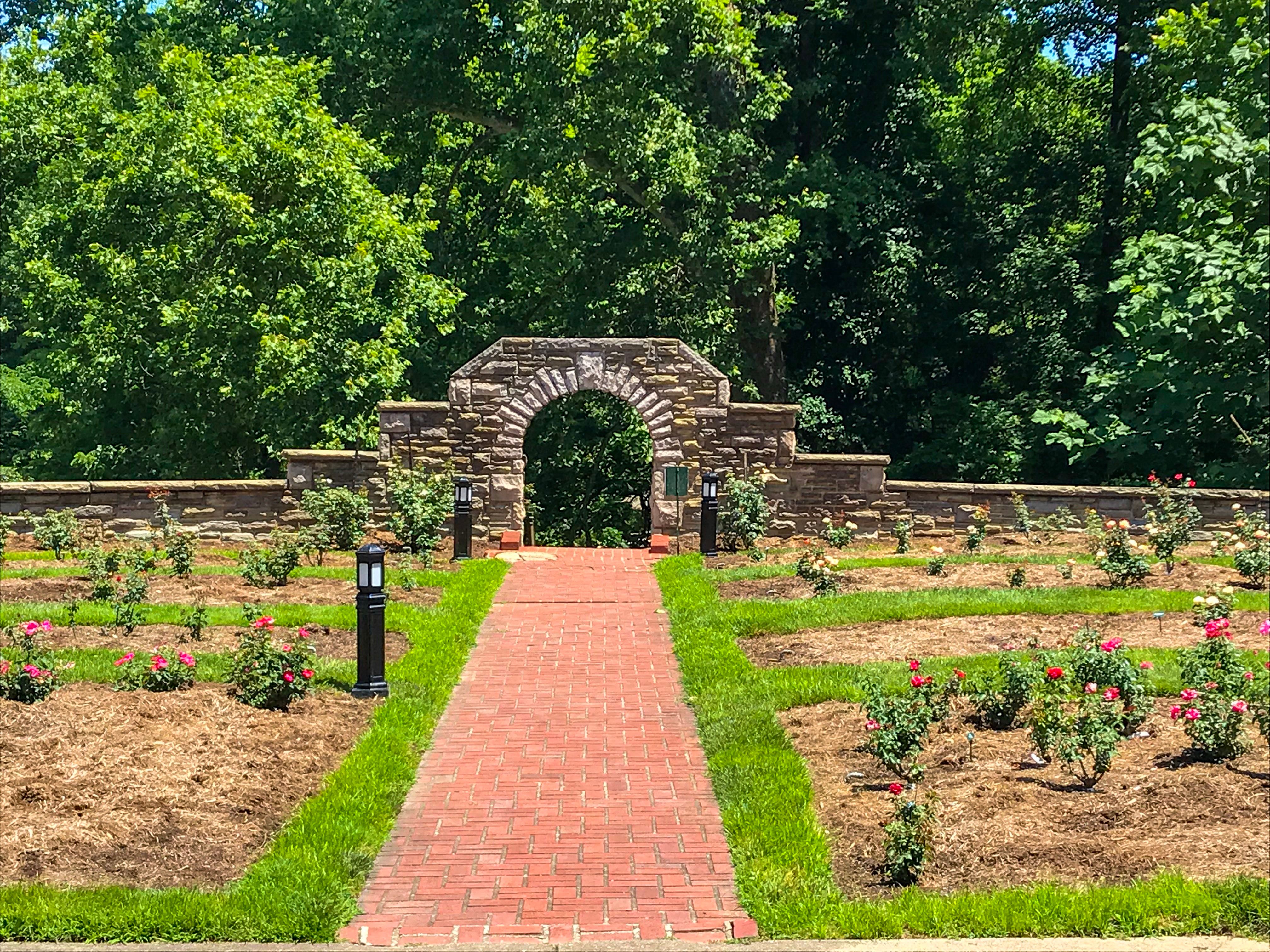 A rose garden in Huntington, WV 